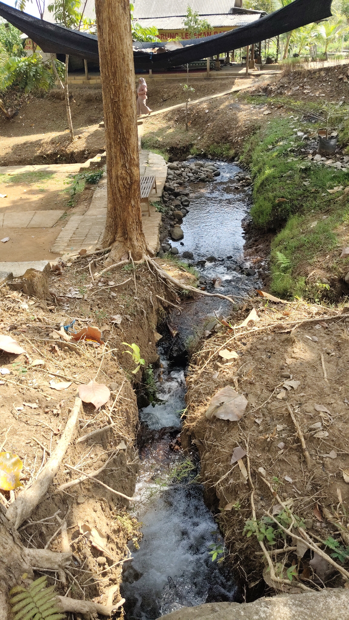 The image depicts a natural scene in Kresek, Indonesia. In the foreground, a narrow stream flows through a dirt embankment with exposed tree roots. The water is turbulent and white with foam in places. The stream bed is rocky, and the banks are covered in dry leaves and sparse vegetation, including a fern. To the left of the stream, a large tree trunk with visible roots dominates the foreground. A paved walkway with a wooden bench runs alongside the stream. In the background, a person wearing a headscarf and a light-colored outfit is walking away from the camera on the walkway. Beyond the walkway, a covered structure with a black tarp is visible, with buildings and palm trees in the distance. The overall impression is of a rustic, outdoor environment.