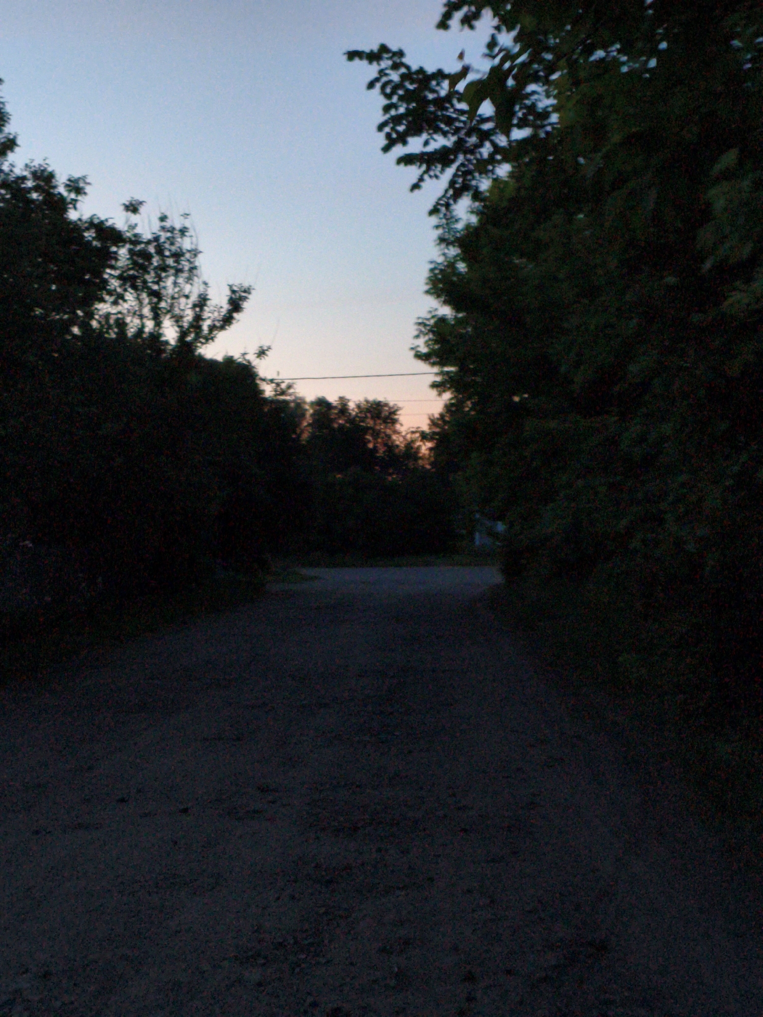 The image depicts a rural or semi-rural scene at dusk or twilight, likely in Ustyvytsia, Ukraine. A dark, unpaved road or path, possibly gravel or dirt, stretches from the foreground into the distance, gently curving to the right. The path is shadowed and appears dark grey or black due to the low light conditions.
Dense, dark foliage, consisting of trees and bushes, frames both sides of the path, creating a tunnel-like effect. The trees are silhouetted against the sky, their leaves and branches largely indistinguishable in the dim light. The sky above transitions from a light blue at the top to a pale orange-pink hue near the horizon, indicative of either sunset or very early sunrise. A thin, horizontal utility line is faintly visible across the mid-ground, stretching between the trees. In the far distance, through the gaps in the trees and past the road, a faint, light-colored structure, possibly a house or shed, can be discerned.
There is no visible activity, and the scene conveys a sense of stillness and quiet. No people or animals are present. No discernible text is visible anywhere in the image. The overall impression is one of a peaceful, secluded pathway at the edge of day.