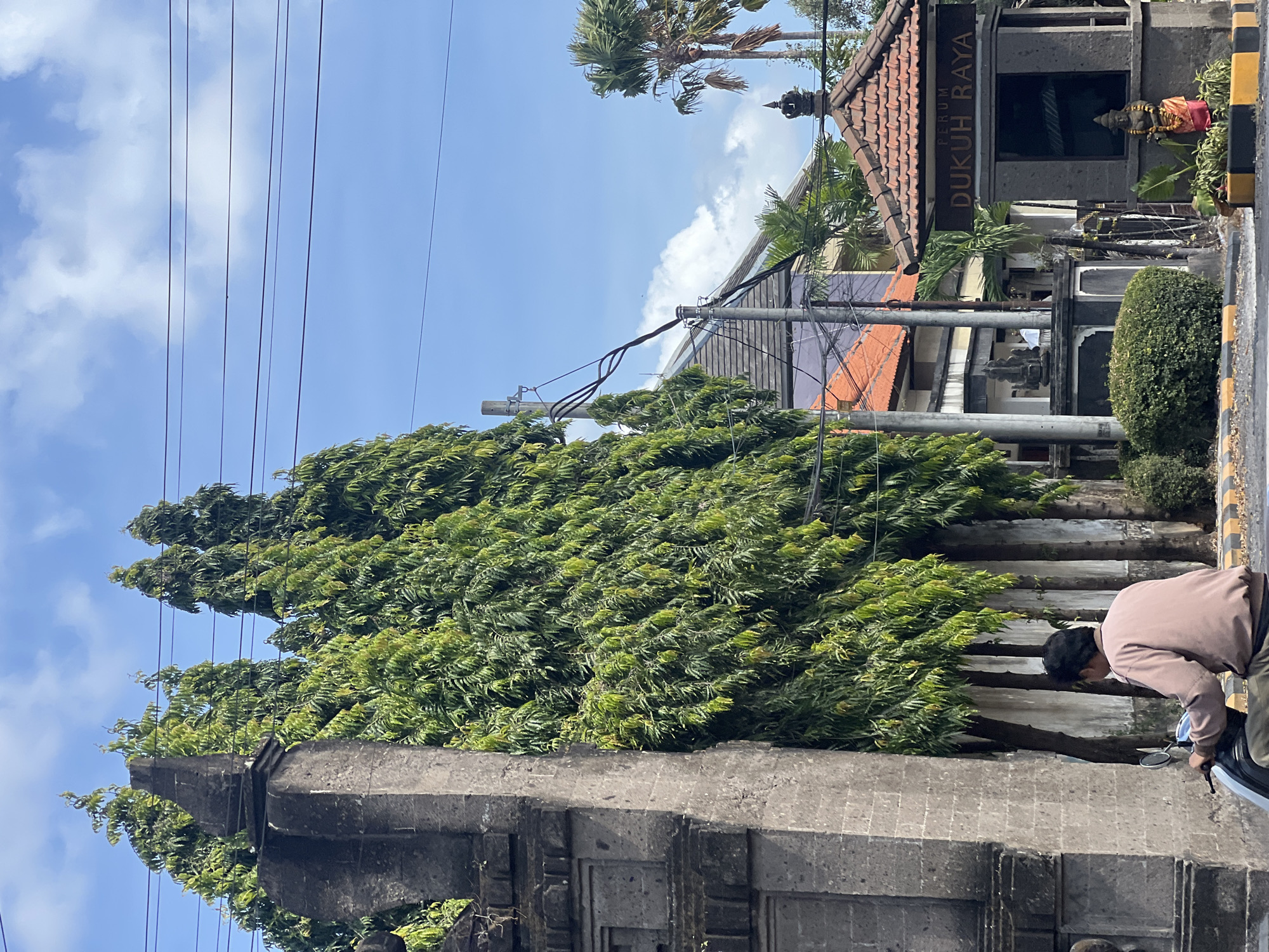 An outdoor, medium shot captures a street scene in Denpasar, Indonesia, under a bright blue sky with scattered clouds. A person wearing a light brown jacket and dark pants rides a dark-colored scooter from the left towards the right. The scooter is partially visible in the foreground.
To the left of the image, a tall, stone gate pillar with carved details stands prominently. Behind the pillar, a row of tall, slender green trees with dense foliage forms a backdrop.
In the mid-ground, a small, stone structure with a red-tiled roof serves as an entrance gate. A sign above the entrance reads "PERUM DUKUH RAYA." A small statue of a figure adorned with a red cloth is positioned in front of the gate.
Further behind the gate, buildings with orange and purple roofs are visible, along with palm trees. Electrical wires crisscross the sky above the scene. The ground is paved with asphalt and bordered by yellow and black markings. The overall impression is a typical street view in a tropical urban environment.