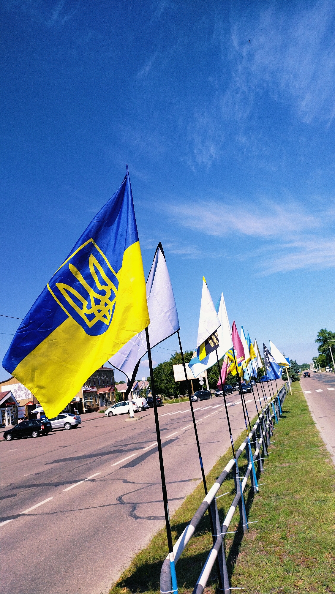 The image shows a sunny day in Horishni Plavni, Ukraine, with a row of flags lined up along a road. The most prominent flag is a Ukrainian flag, displaying the national trident symbol against a blue and yellow background. Other flags, some white and some with various designs, are also visible, all attached to black poles. The flags are positioned on the grassy shoulder of a paved road, which has white lane markings. Several cars are driving on the road, and buildings are visible on the opposite side, suggesting an urban or semi-urban environment. The sky is bright blue with scattered white clouds. A metal fence with alternating grey and white sections separates the grassy area from the road.