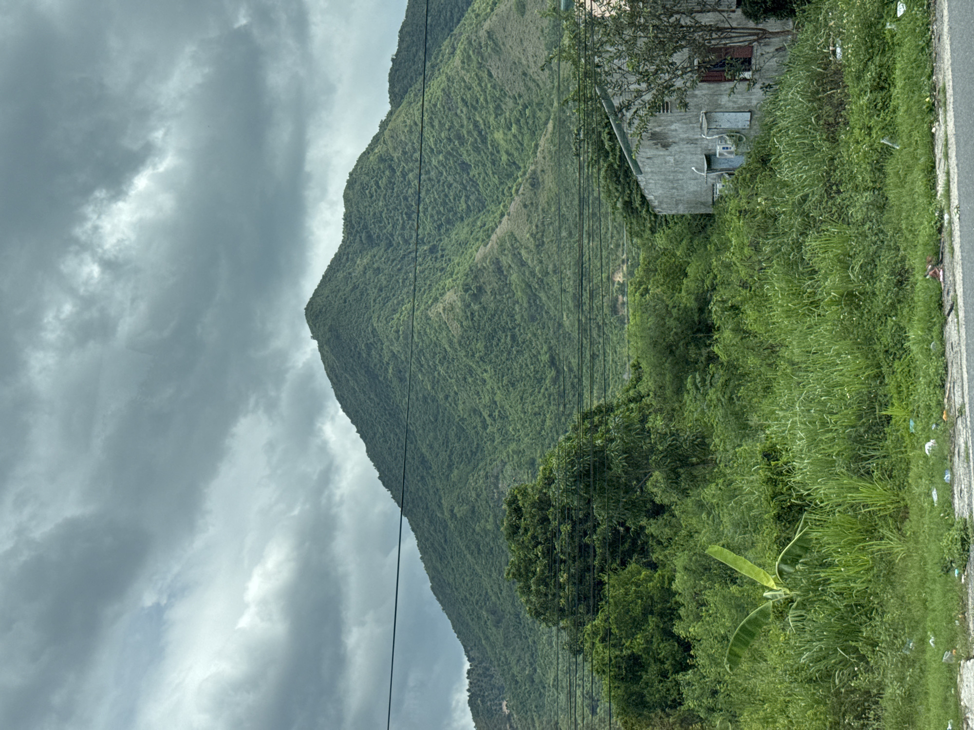 The image depicts a lush green mountain range under a dramatic, cloudy sky. The mountain slopes are covered in dense vegetation. In the foreground, to the right, is a simple, weathered concrete building with visible air conditioning units and a red-shuttered window. The area around the building and extending to the left is overgrown with tall, green grass and other foliage, including a prominent banana plant. Several power lines crisscross the scene, with one set running horizontally in front of the mountain. The overall impression is one of a rural or semi-rural setting in Ninh Ích, Vietnam, characterized by abundant greenery and simple structures.