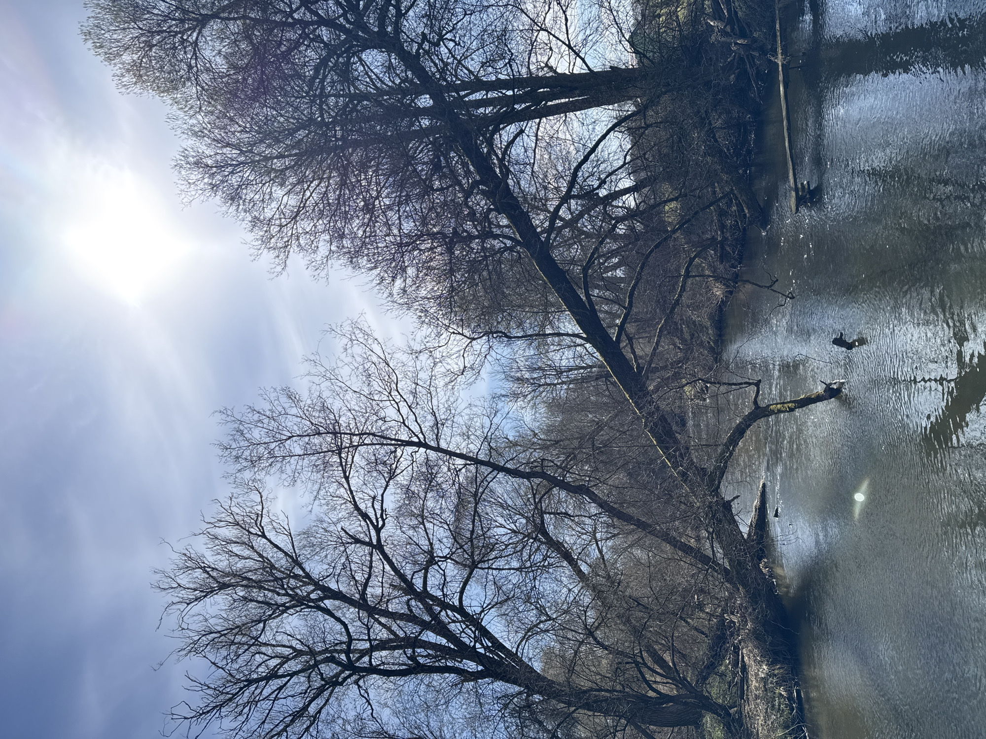 The image depicts a waterway, possibly a canal or river, running vertically through the frame. The water surface reflects the sky above. The banks are lined with trees, which are largely bare of leaves, suggesting it might be late autumn or winter. The sky is light, with some cloud cover, and a bright light source, probably the sun, is visible in the upper left. The image is slightly rotated, so the sky appears to be on the left. The location appears to be Падлабенскі сельскі Савет, Belarus, based on the geo-location.