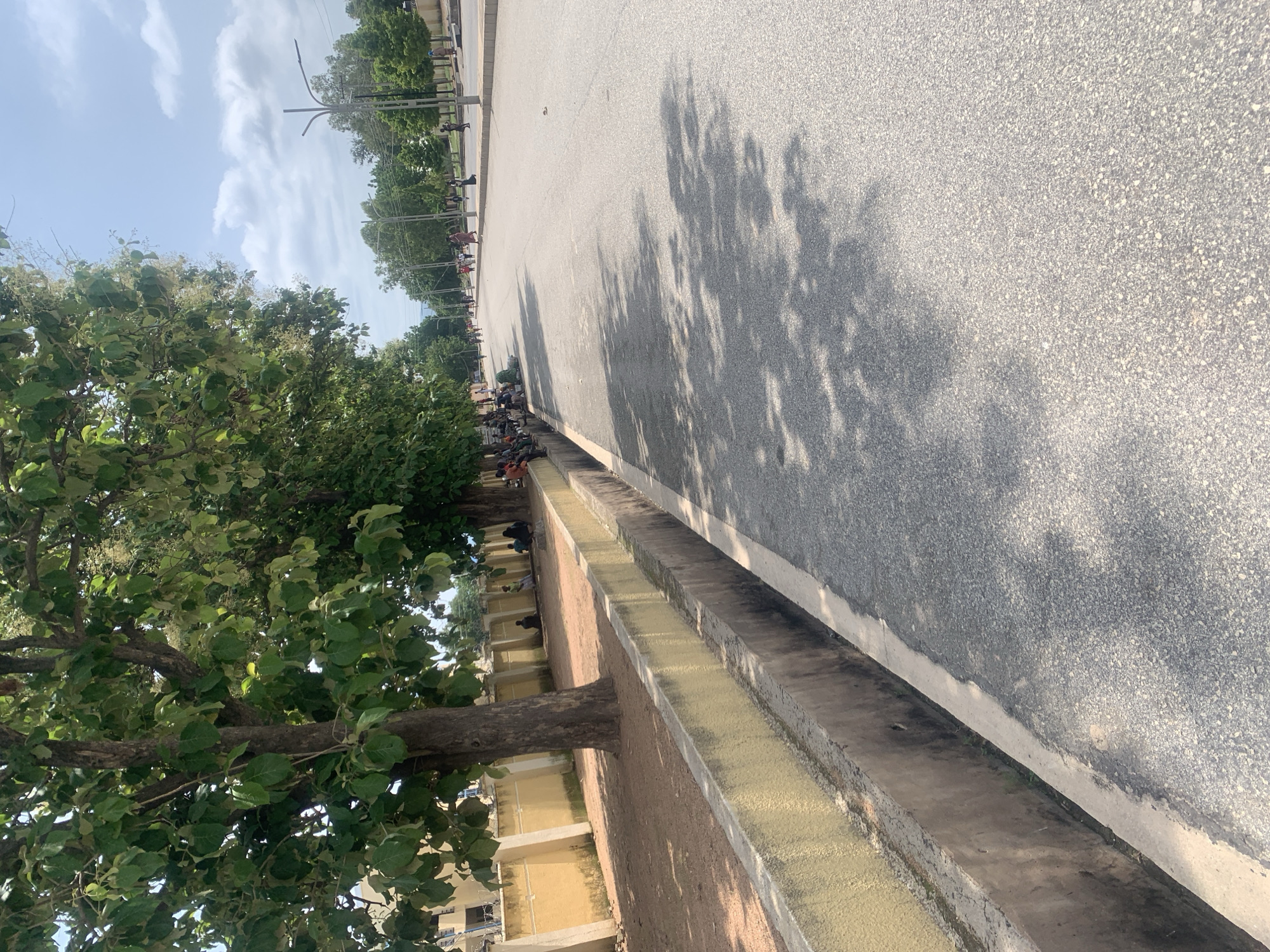 The image depicts a street scene in Jalingo, Nigeria. On the left, a yellow-painted wall with pillars runs along the edge of a sidewalk. Large trees with green foliage are planted in front of the wall, casting shadows on the ground. Several people are seated or standing in the shaded area by the wall. A concrete drainage ditch runs alongside the road. The road itself is asphalt, and the shadows of the trees are visible on its surface. In the distance, the road continues, lined with more trees and streetlights. A few people are walking or standing along the road and sidewalk in the background. The sky is blue with scattered clouds.