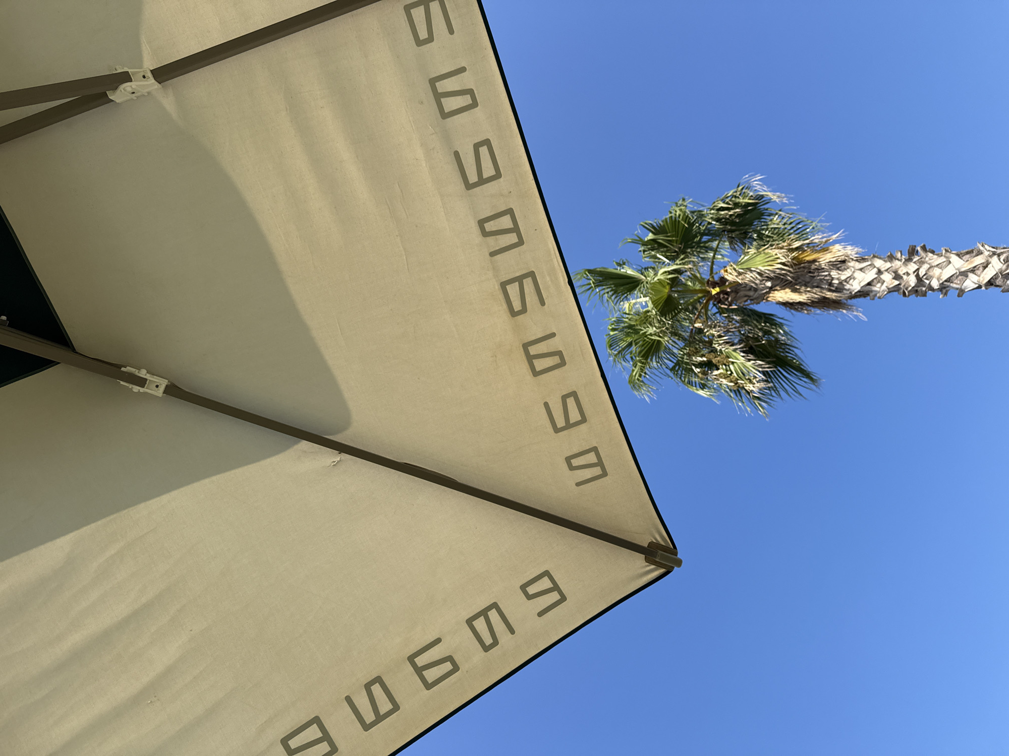 The image captures an upward view of a tan umbrella against a clear blue sky. The umbrella is partially open and casts a shadow. Faint, stylized lettering is visible on the umbrella fabric. Below the umbrella, a tall palm tree with green fronds and a textured trunk stands against the sky. The scene is set in Serik, Turkey, likely on a sunny day, suggesting an outdoor setting such as a resort, park, or beach.
