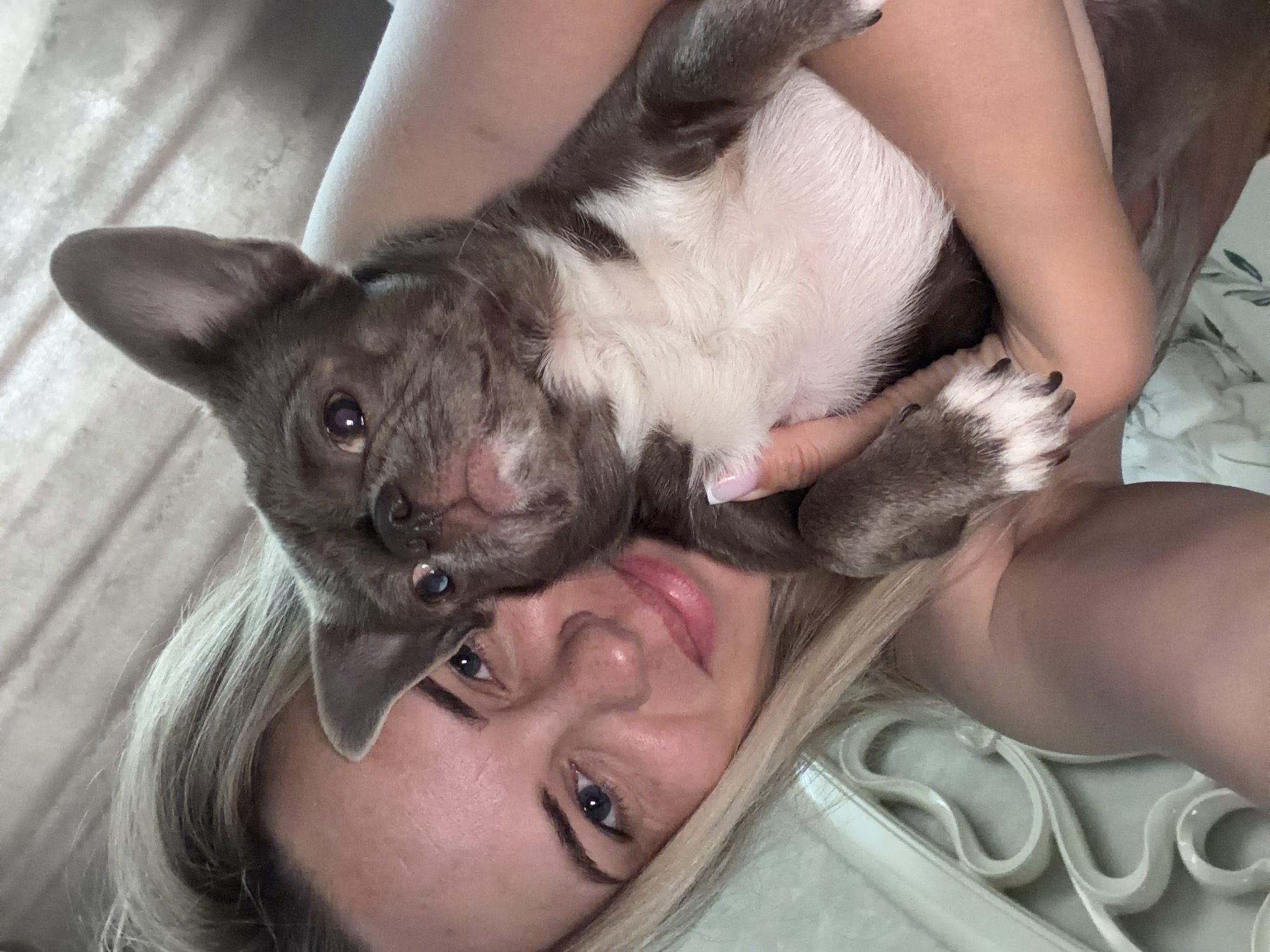 This rotated close-up image captures a moment of affection between a person and a small dog. The main subject is a light-skinned individual, likely female, with blonde hair, blue eyes, and light pink lipstick, positioned as if taking a selfie while lying down. She is holding a small, greyish-brown and white puppy close to her face. The puppy, which appears to be a French Bulldog or a similar short-snouted breed, has dark, expressive eyes and floppy ears, and its fur is distinctly two-toned, with white markings on its chest and paws. Its nails are dark.
The person's arms are visible, cradling the puppy, and one hand shows fingernails painted with light pink polish. A subtle smile plays on the person's lips, and the puppy looks directly at the camera, conveying a sense of gentle curiosity or relaxation. The setting appears to be indoors, likely a bedroom, with soft, light-colored fabrics in the background, possibly bedding or curtains. A white, ornate detail, possibly part of a headboard or furniture, is visible near the person's right arm. The overall atmosphere is warm and intimate, highlighting the bond between the person and their pet. No visible text is present in the image. The scene is set indoors, possibly in Votkinsk, Russia.