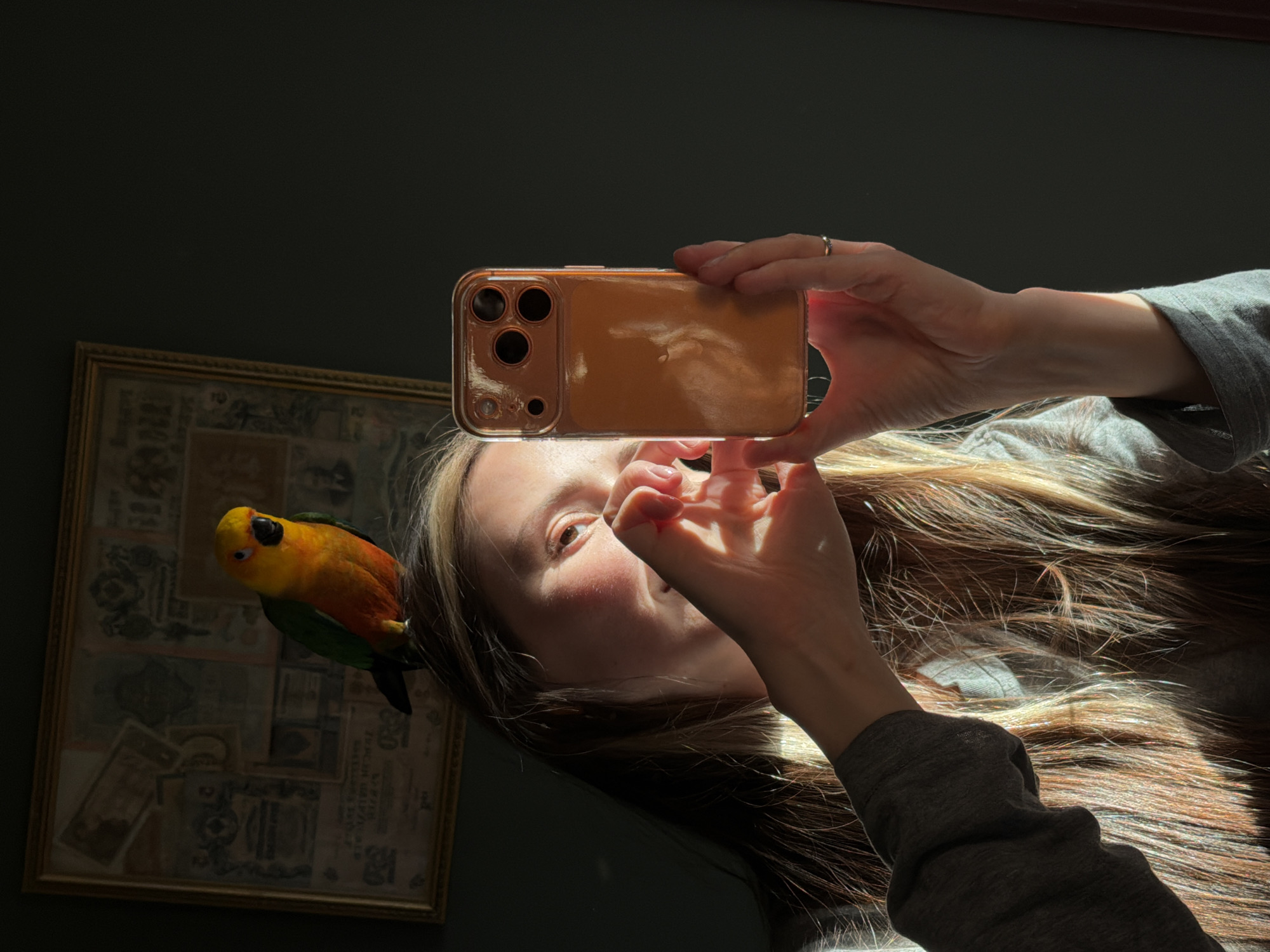 The image, captured in Khimki, Russia, shows a person taking a selfie or recording a video with a smartphone, accompanied by a colorful parrot. The person, appearing to be a woman, is holding a smartphone horizontally with both hands. Her face is partially obscured by her hand, which is brightly illuminated by direct sunlight, revealing one eye and part of her nose. Her long, light brown hair, with visible highlights, flows downwards (due to the image's orientation). She is wearing a grey long-sleeved garment.
A vibrant sun conure or similar parrot, with bright yellow, orange, and green feathers, is perched on what appears to be the person's hair or shoulder on the left side of the frame. Its black beak and eye are clearly visible.
The smartphone has a clear, reflective rose gold or copper-toned case, prominently displaying three camera lenses on its back. The background consists of a dark, plain wall. A framed item, possibly a collection of old documents or currency, hangs on the wall behind the parrot, largely in shadow and partially obscured.
The scene is characterized by strong, direct natural sunlight, creating high contrast. Bright highlights illuminate the person's hair, hands, face, and the smartphone, while significant portions of the background and other areas are in deep shadow. This lighting suggests it is daytime. No discernible text is visible on the framed item or elsewhere in the image. The person's expression is not clearly visible, and the image is presented at a rotated angle.