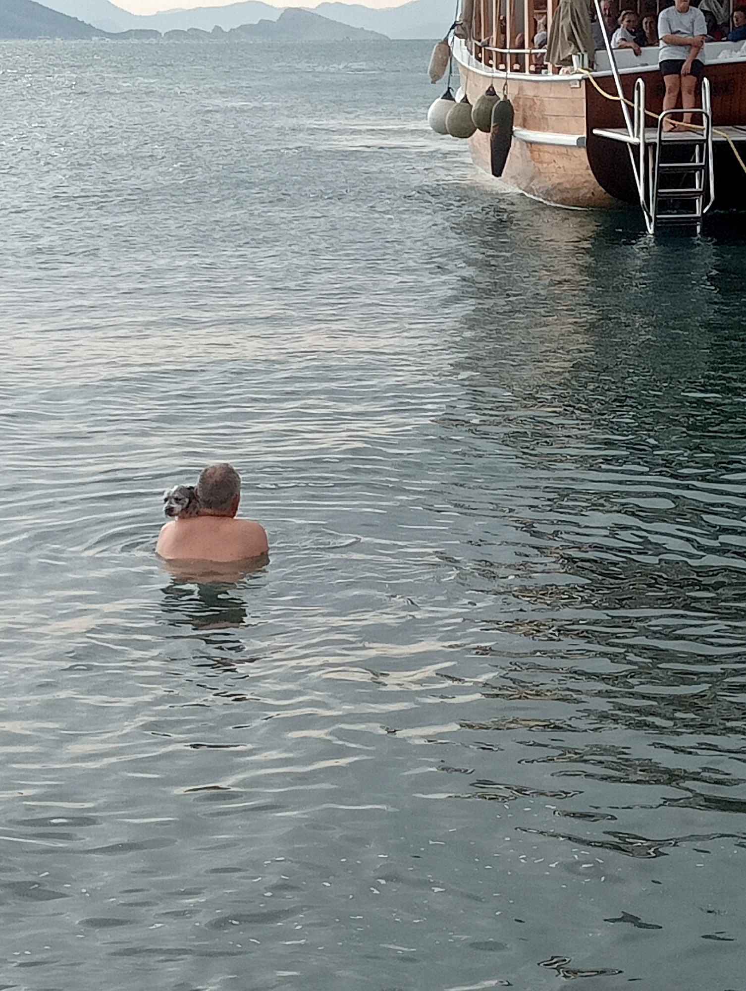 In Fethiye, Turkey, a person is swimming in the water. A small dog is perched on the swimmer's shoulders, facing the camera. In the background, a wooden boat with people on deck is moored. The water is calm with ripples, and distant hills are visible under a hazy sky.