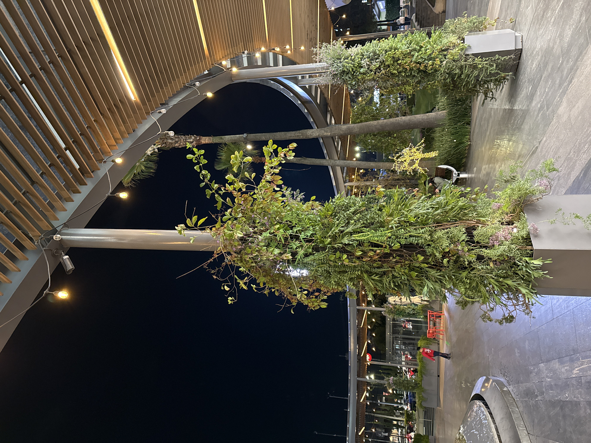 This outdoor shot shows a night scene in Puebla, Mexico. An open wooden-slatted roof structure overhead is supported by metal arches with hanging light bulbs. Large, lush plant containers are placed along the walkway, with greenery overflowing from them. A person is seen walking in the distance. There is evidence of water nearby, possibly a fountain. Buildings and other structures with lights are visible in the background, beyond the immediate walkway area.