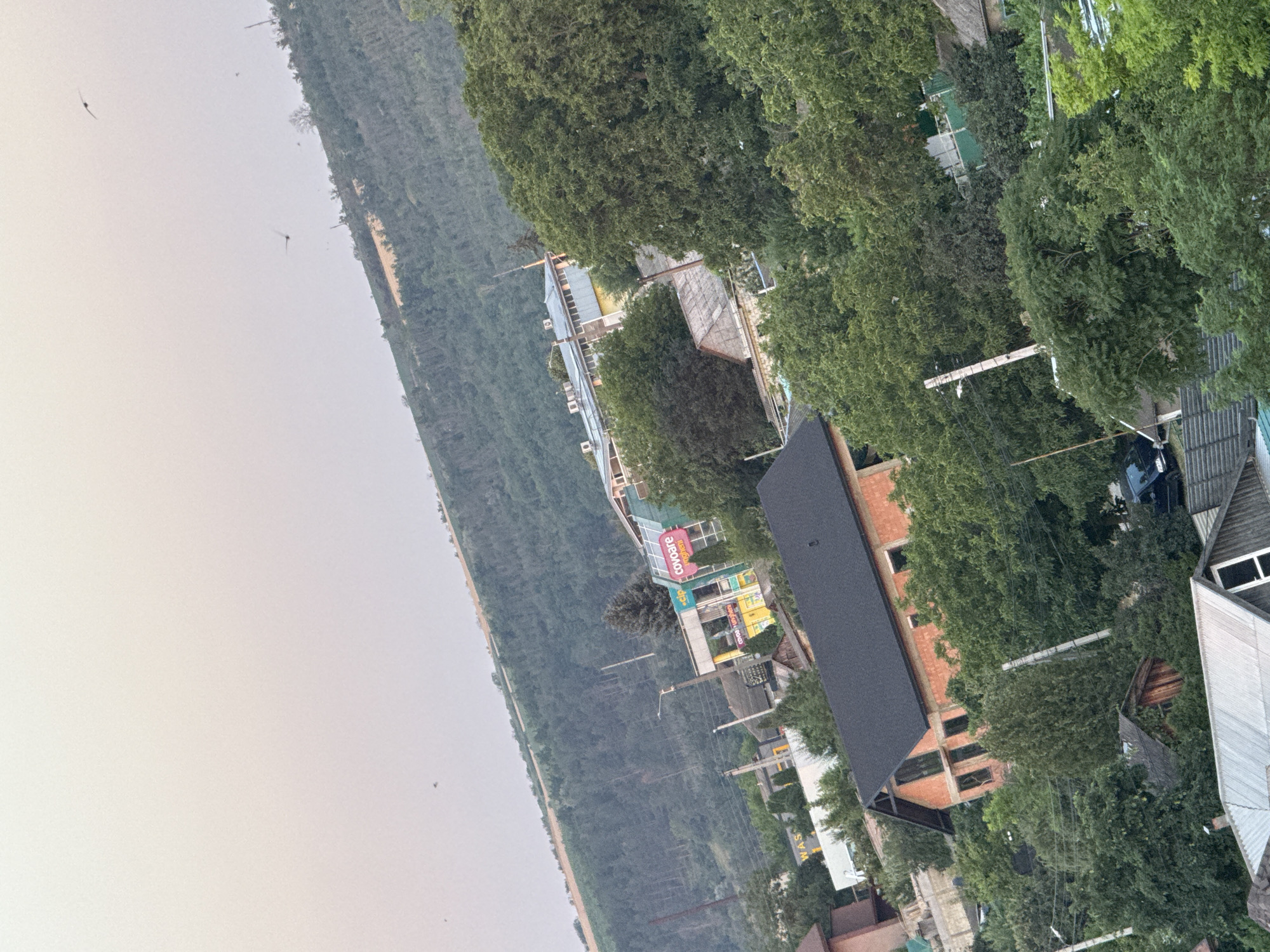 This is an aerial, rotated photograph showing a semi-urban landscape with abundant greenery. The scene is dominated by trees, which create a dense canopy over buildings and a sloping hillside. In the foreground, a modern brick building with a dark roof is visible, partially obscured by foliage. Further into the scene, a collection of other structures with varied roofing materials, including corrugated metal and shingles, are scattered among the trees. Some of these buildings appear to be commercial or multi-story residential, with visible windows and air conditioning units.
On the left side of the image, a distant, densely forested hillside slopes downwards towards a hazy, pale sky. The sky suggests it is either early morning or late afternoon, with diffused light. A thin, lighter-colored strip runs along the edge of the hillside, possibly a road or a clearing. There are a few small, dark objects that appear to be birds in flight against the hazy sky.
Visible text on a building sign reads "coworking" and what appears to be "WAS". The overall impression is a developed area nestled within a natural, wooded environment. The weather appears calm and possibly overcast, contributing to the soft lighting. The image does not depict any people or specific activities, focusing instead on the architectural and natural elements of the setting.