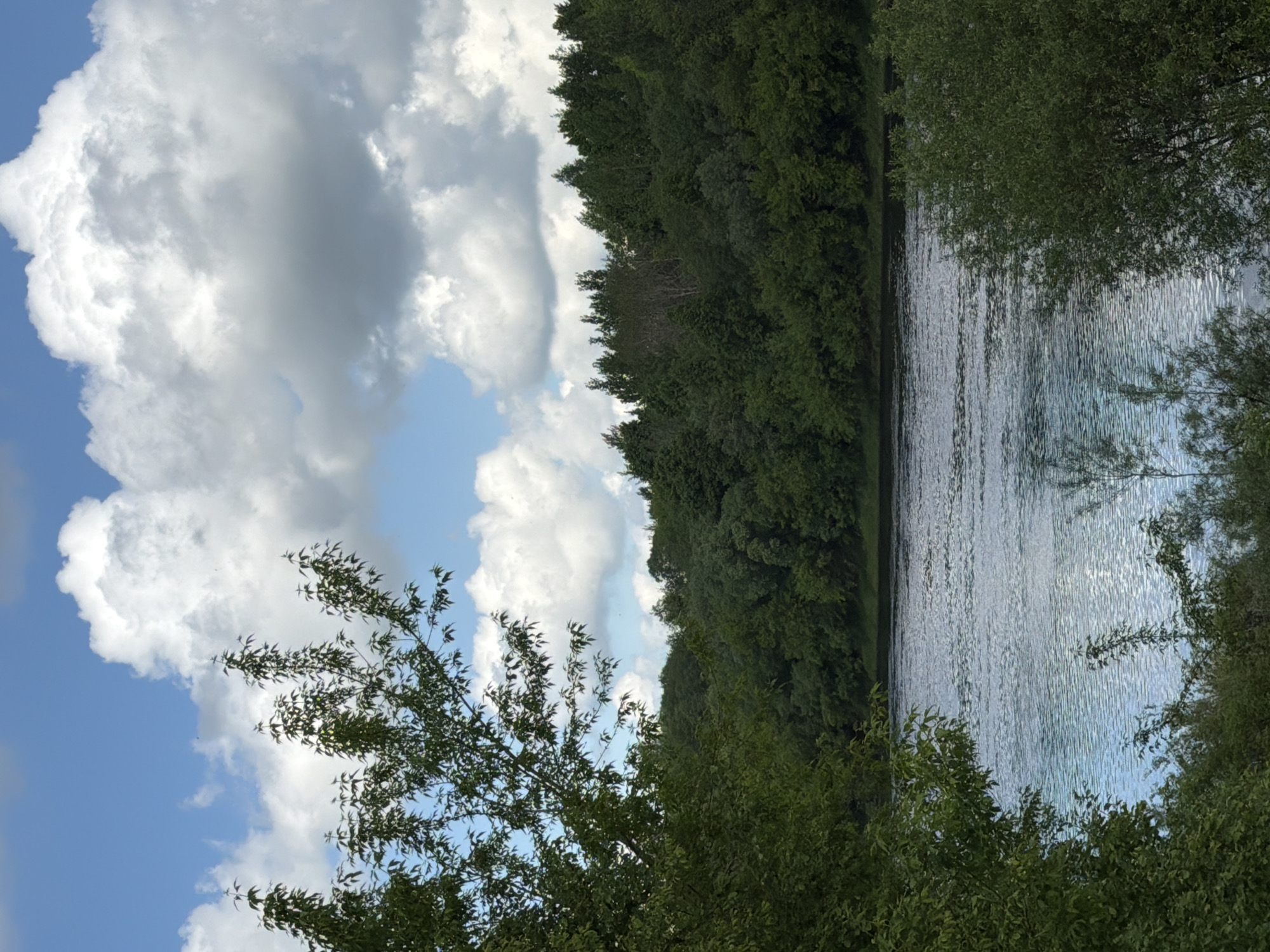 A landscape photo depicts a body of water, likely a lake, flanked by dense trees on both sides. The sky is partially covered with large, white cumulus clouds against a blue sky. A tree branch with green leaves is visible in the foreground on the left side. The image is taken during daylight. The location and city are unknown.