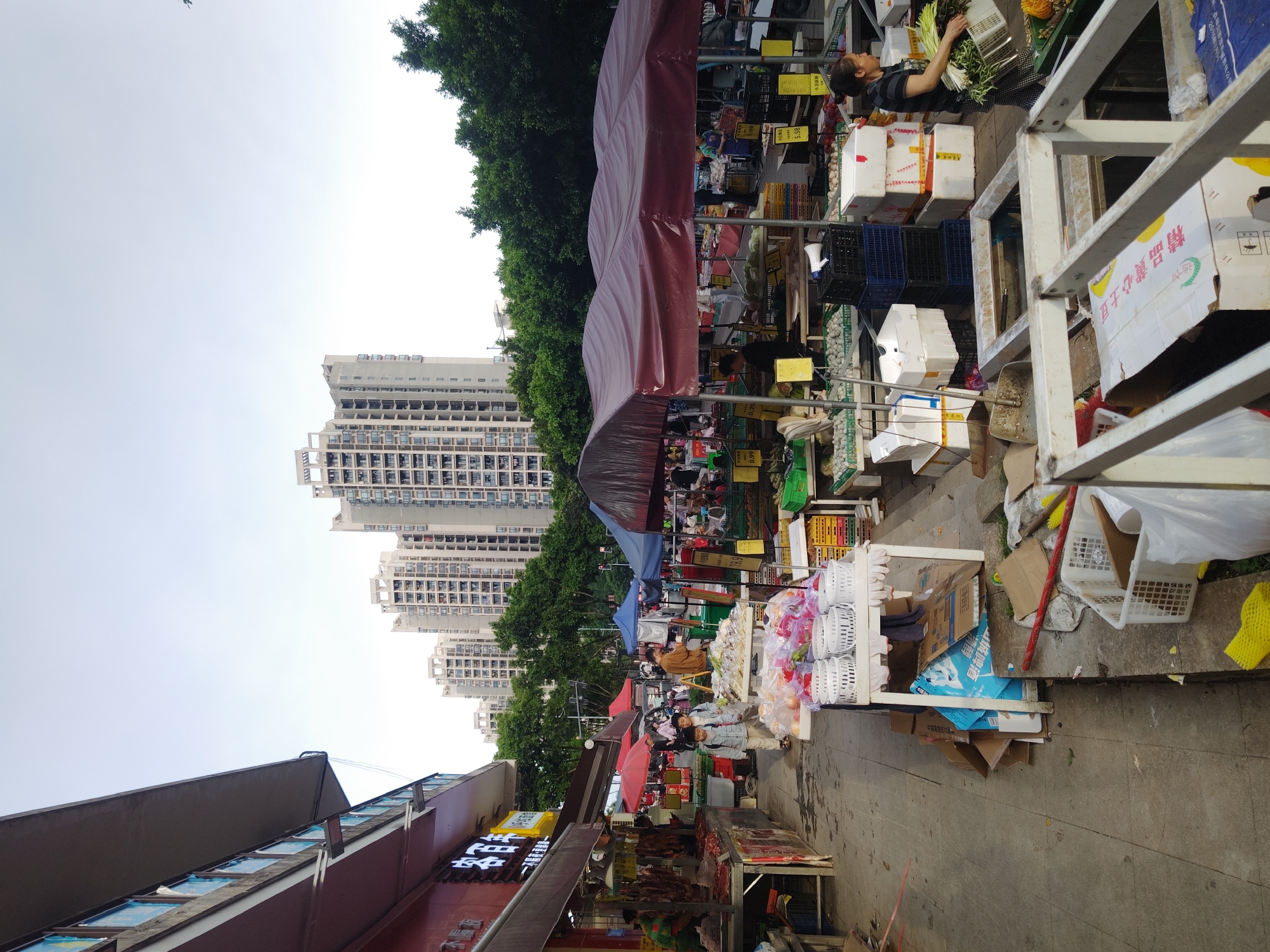 The image depicts a bustling outdoor street market scene in an urban environment, likely in Chongqing High-tech Zone, China. The perspective looks down a path or narrow street lined with market stalls, with tall residential buildings in the background.
The market stalls are predominantly covered by tarpaulins, featuring colors like maroon and blue, providing shade. A wide array of fresh produce is displayed, including leafy green vegetables, various fruits (such as oranges or similar round fruits), and other packaged items. These goods are arranged in plastic crates (blue, yellow, green), white styrofoam boxes, and baskets. Small yellow price tags are visible on some items, showing figures like "5.50" and "0.99".
Several people are present, indicating active commerce. On the right side of the frame, a woman in a striped shirt is clearly visible, engaged in sorting or arranging fresh greens on a stall. Other individuals, both vendors and shoppers, are scattered throughout the market, contributing to the lively atmosphere.
In the mid-ground, a line of dense green trees forms a natural barrier, separating the market area from a cluster of modern, high-rise apartment buildings. These multi-story structures are characterized by numerous windows and a uniform architectural style, typical of urban residential areas.
The foreground on the right side of the image shows metal frames supporting the stalls, along with an assortment of cardboard and styrofoam boxes, some stacked. One prominent white cardboard box features Chinese characters, partially legible as "精品绿心白玉" (Jīngpǐn lǜxīn báiyù), which translates to "Premium Green Heart White Jade," possibly denoting a specific type of produce. The ground is paved, and there is some typical market clutter, including discarded cardboard and plastic bags. On the far left, a portion of a building with a dark roof is visible, displaying a large sign with Chinese characters, though the full text is not decipherable.
The sky above is bright and overcast, suggesting a daytime setting without strong sunlight. The overall scene conveys the vibrant and functional daily life of a busy urban market.