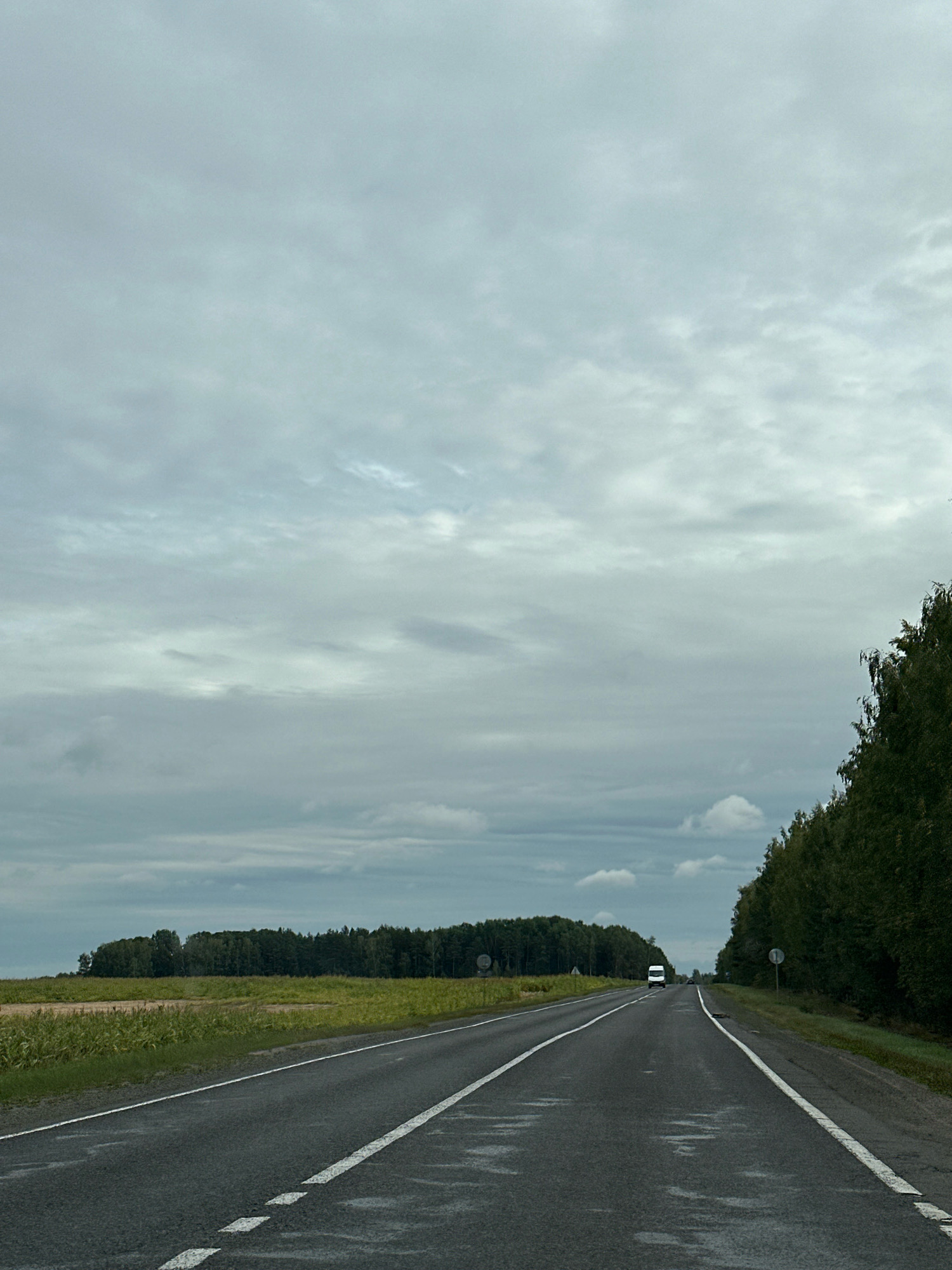 A gray, overcast sky looms above a two-lane asphalt road. The road is marked with white dashed lines and wet patches. To the left of the road, a field of green vegetation stretches towards a dense line of trees. To the right, a thick forest borders the road. A white van is visible driving away on the road in the distance.