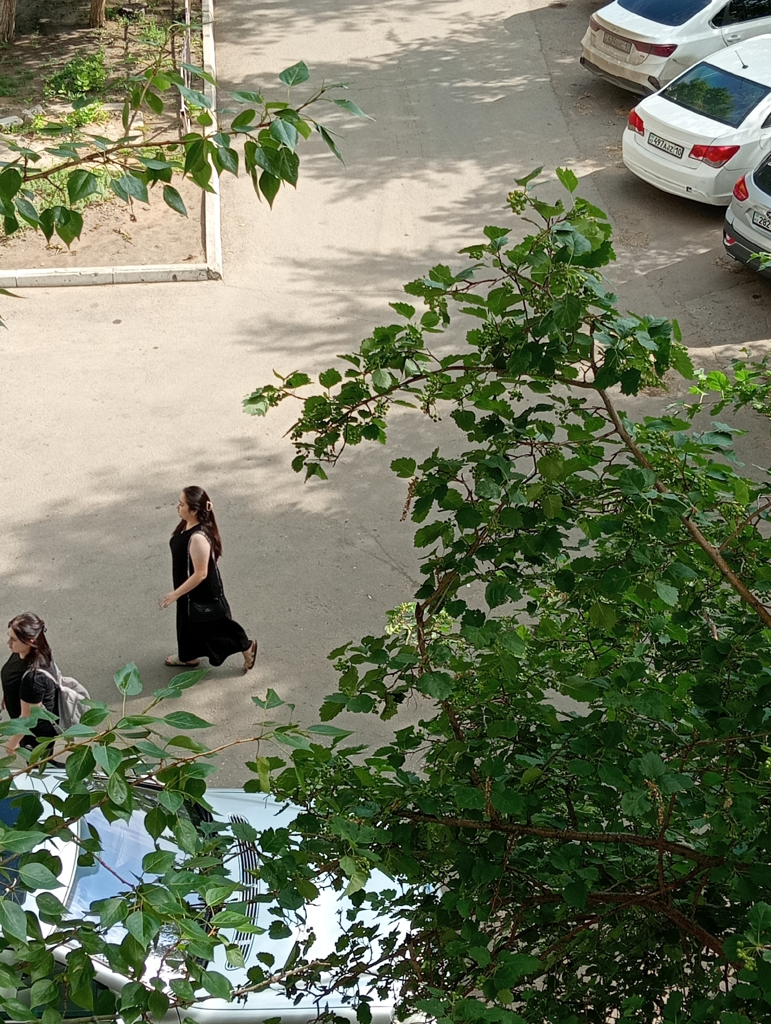 An aerial, high-angle outdoor shot shows two women walking on a paved surface near parked cars and a tree with green leaves in the foreground. The woman on the left is wearing a black t-shirt and carrying a gray bag. The woman on the right is wearing a long black dress and carrying a black purse over her shoulder. In the background, there are at least three white cars parked. The ground appears to be asphalt or concrete, with some patches of dirt and grass visible on the left side of the frame. Sunlight casts shadows from the trees and cars onto the ground.