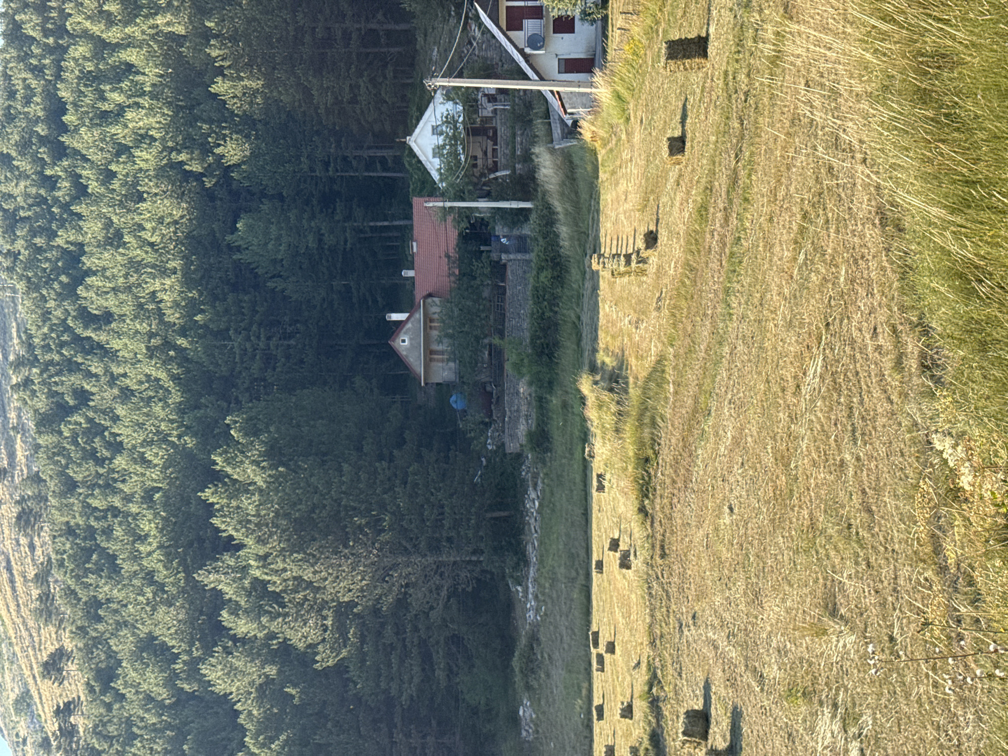 In Kopito, Montenegro, a rural landscape is depicted with a field of harvested hay bales in the foreground. The field is dry and golden, with scattered square bales of hay. Behind the field, a dense forest of coniferous trees covers a hillside that rises towards the top of the frame. Nestled among the trees are several residential buildings. One building, with a red tile roof, has a small white chimney. To its right, a white house with a dark roof features a porch. Further to the right and lower, a smaller white house with red shutters and a satellite dish is visible. The overall scene suggests a remote, possibly agricultural, setting.