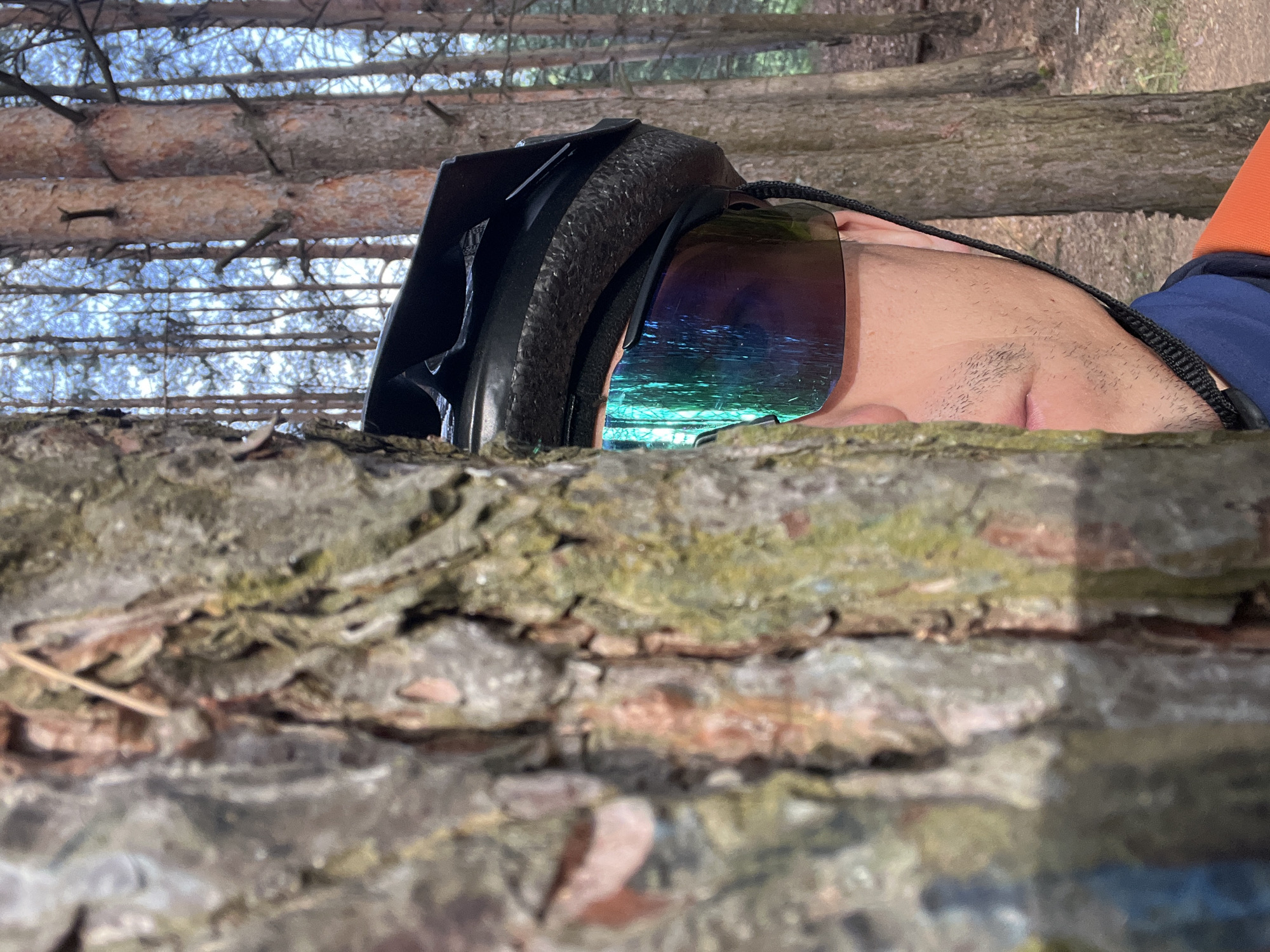 The image shows a person wearing a black helmet with iridescent goggles, partially obscured behind a textured tree trunk. The person's face is partially visible, showing a small portion of their eye and cheek. In the background, there's a dense forest setting with trees and branches against a bright sky. The location is suggested to be in or near Chaikovsky, Russia. The primary action seems to be the person observing the surroundings from behind the tree.