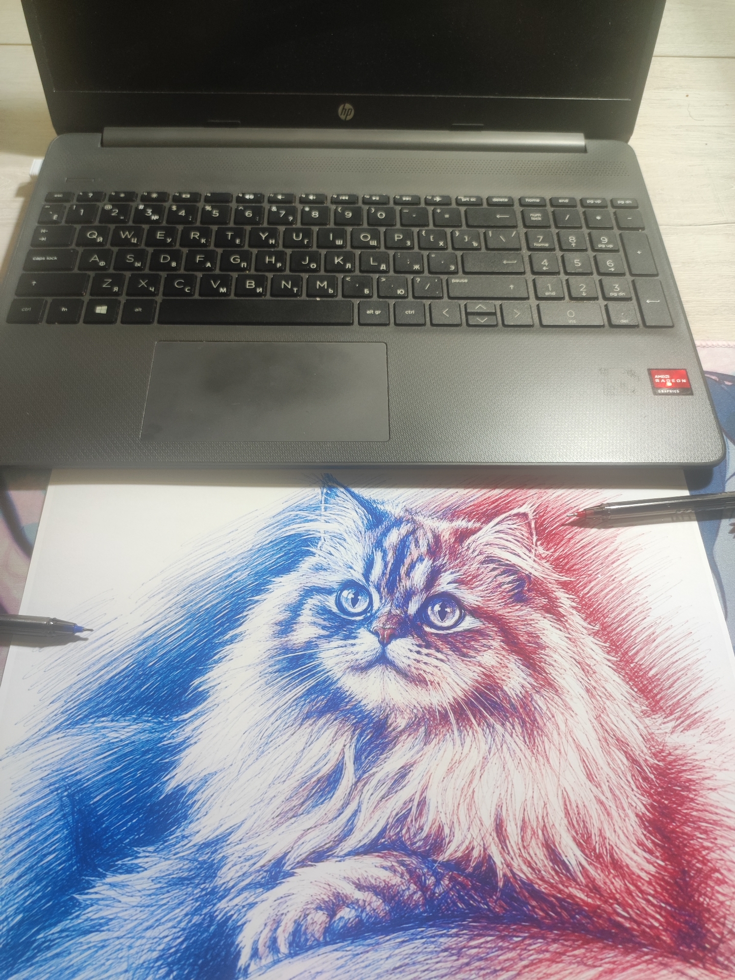 The image shows a close-up, overhead view of a drawing of a cat, created with red and blue ink, lying on a surface partially obscured by a laptop. The drawing is detailed, capturing the texture of the cat's fur with fine pen strokes. The cat's face is centrally positioned, with its eyes wide open, giving it an alert expression. The left side of the drawing is rendered in blue ink, and the right side in red ink, creating a striking visual contrast.
The laptop, a dark gray HP model, is open and positioned behind the drawing. Its keyboard is visible, featuring a mix of Latin and Cyrillic characters, suggesting the laptop might be in a region where both alphabets are used. The laptop has a silver trim around the base and a prominent HP logo. An AMD Radeon Graphics sticker is visible on the lower right side of the laptop's base. The drawing is placed on what appears to be a mousepad with a subtle pattern. Two pens are positioned on the drawing: one black pen on the left, and one silver pen on the right, both appearing to be in the process of being used or having just been used. The background consists of a light-colored wooden surface, likely a desk or table. The lighting suggests an indoor setting, possibly during the daytime.