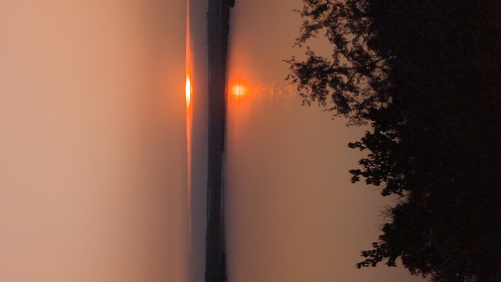 A serene, muted sunset casts a warm, orangey-pink glow over a wide body of water. The sun, a bright orange orb, is partially obscured by a thin band of clouds at the horizon, creating a soft halo. Its reflection shimmers on the water's surface, forming a bright, elongated path of light. In the foreground, silhouetted trees with dense foliage create a dark, organic border against the illuminated sky and water. The overall impression is one of tranquility and natural beauty, capturing a fleeting moment of twilight over a placid landscape. This scene is located in Kostiantynivka, Ukraine.