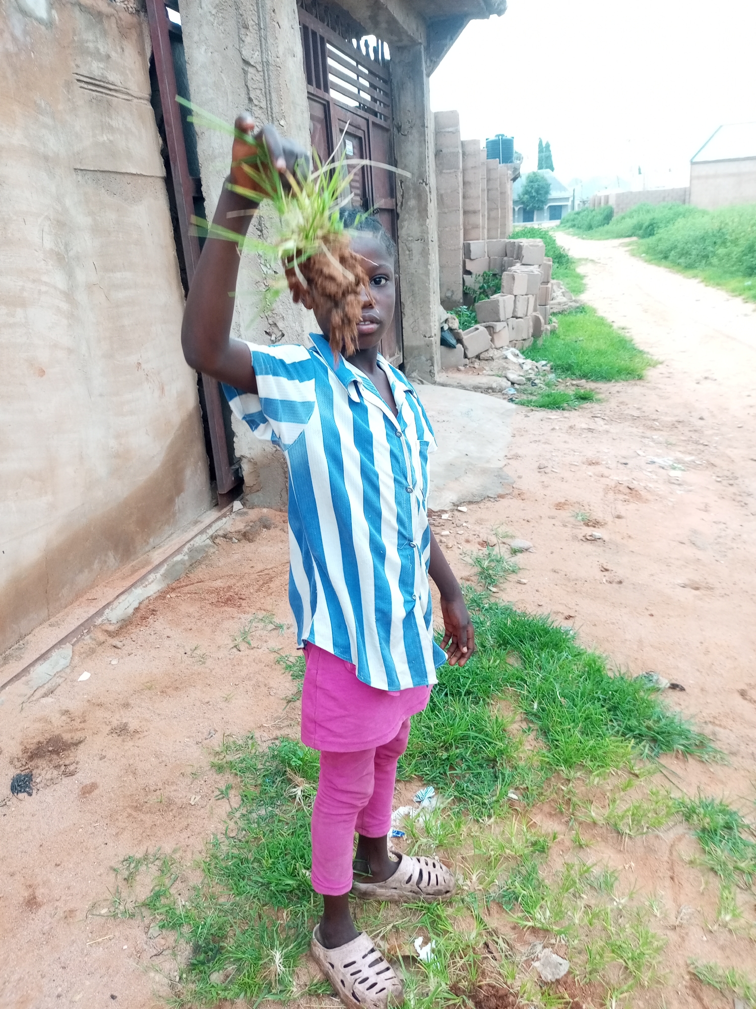 A young Black girl stands on a dirt road in Tempure, Nigeria, holding a clump of grass and soil in her right hand, which is raised above her head. She is wearing a blue and white striped short-sleeved shirt, a pink skirt, pink leggings, and light brown sandals. The background shows a building with a metal door and windows, a pile of bricks, and a dirt path stretching into the distance, lined with greenery and other buildings. The overall scene depicts an outdoor, informal setting typical of a residential area.
