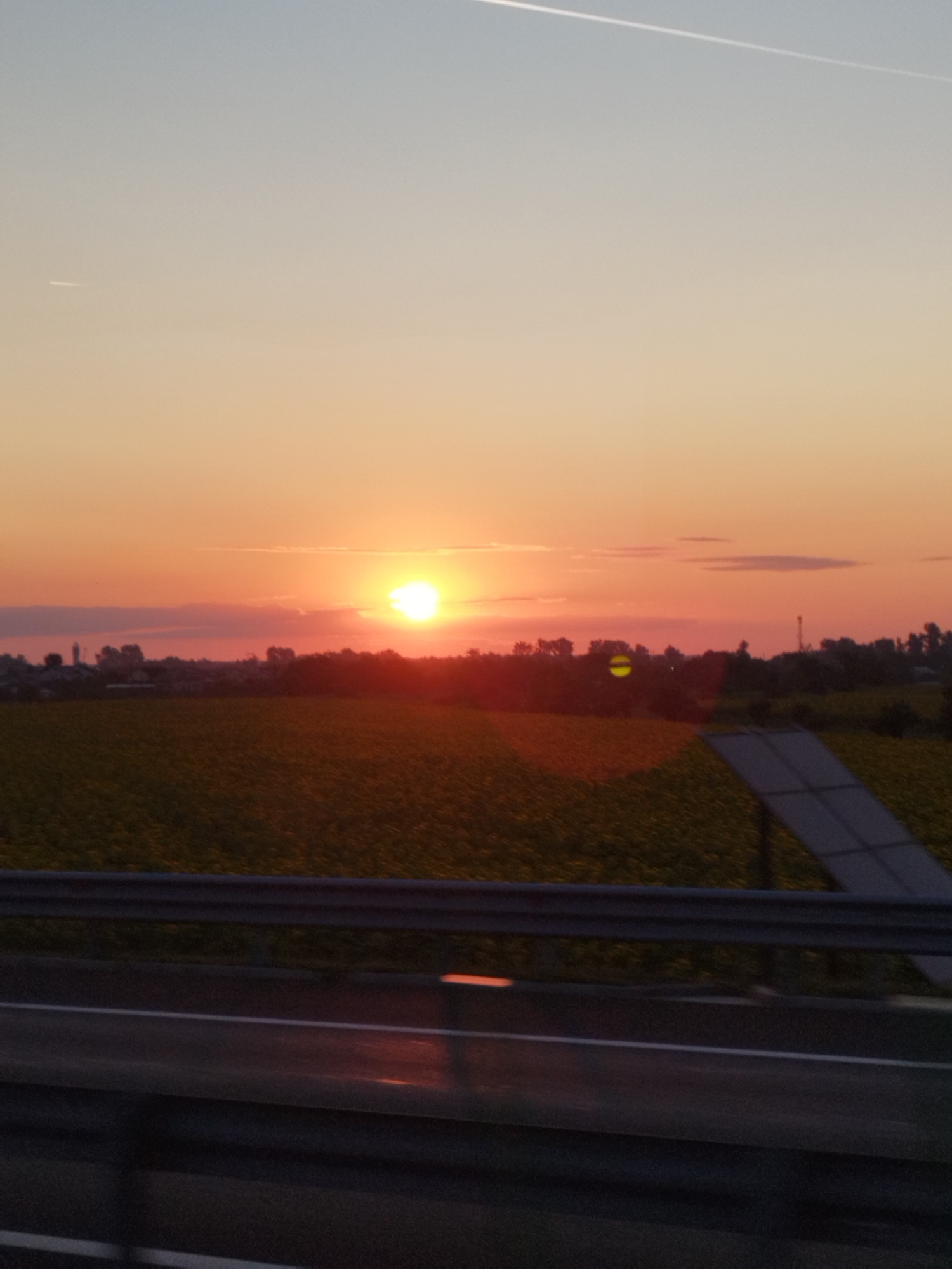 A vertical, outdoor, medium shot captures a sunset over a rural landscape, likely in Dârvari, Romania. The sky transitions from a soft blue at the top to a vibrant orange and pink near the horizon, with a faint white contrail visible in the upper portion. The sun, a bright orb, is positioned slightly to the left of the center, partially obscured by a thin band of clouds. Below the sky is a vast field of yellow sunflowers, suggesting a cultivated agricultural area. A dark line of trees forms a silhouette against the sunset, with hints of buildings and possibly a tower or industrial structure visible within this treeline. In the foreground, a highway barrier and the road itself are visible, with the road surface reflecting the warm hues of the sunset. A large, angled solar panel is situated to the right of the frame, partially obscuring the field and treeline. The overall impression is one of a serene, natural scene at dusk, with signs of human activity in the form of agriculture and renewable energy infrastructure.