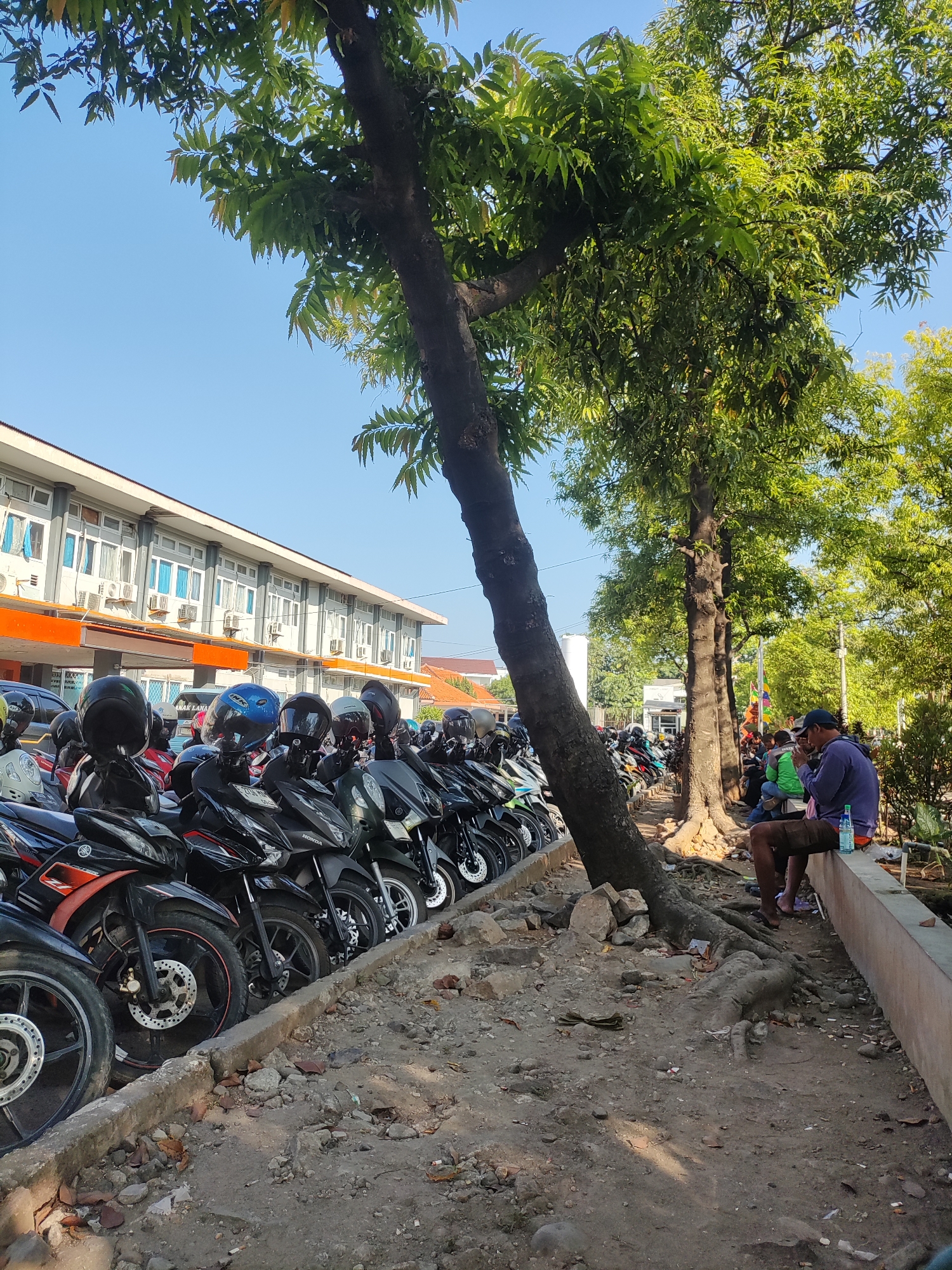 A parking lot in Cirebon, Indonesia, is seen with many motorcycles parked in rows. A large tree with exposed roots stands prominently in the foreground, casting shadows on the dusty ground. In the background, a modern building with numerous windows and air conditioning units is visible. A few individuals are seated on a low wall, with one person appearing to be smoking and another holding a water bottle. The scene depicts a typical urban environment with a mix of buildings, vehicles, and natural elements.