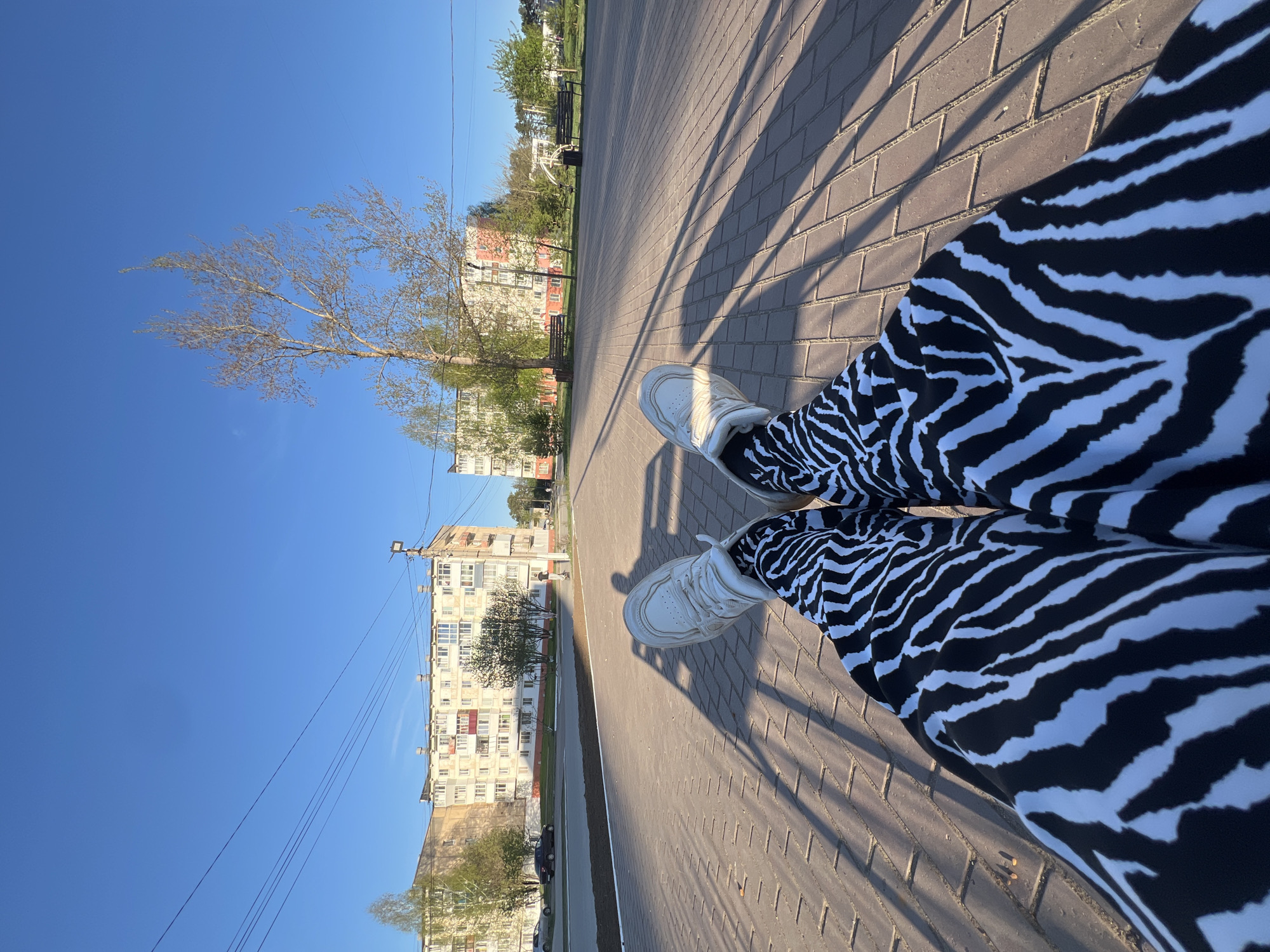 A low-angle, wide shot captures a seated individual wearing zebra-striped pants and white sneakers, presumably in the city of Chaikovsky, Russia. The setting appears to be a brick-paved walkway adjacent to a road. Several multi-story residential buildings can be seen in the background. A tall, mostly bare tree stands nearby. Overhead power lines stretch across a clear blue sky. Shadows cast across the walkway suggest a sunny day. The viewpoint is tilted, giving the image an askew orientation.