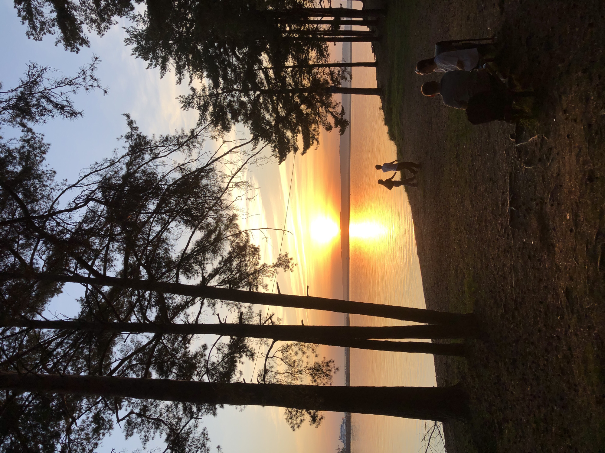 The image shows a sunset view from a shoreline. The sun is setting over a body of water, reflecting a bright golden light across the surface. Silhouettes of trees are prominent in the foreground. On the right side of the image, two people are sitting. Closer to the water, two people are walking near the shoreline. In the sky, there are visible contrails from an aircraft. The image is likely taken in Chaikovsky, Russia, considering the location requested.
