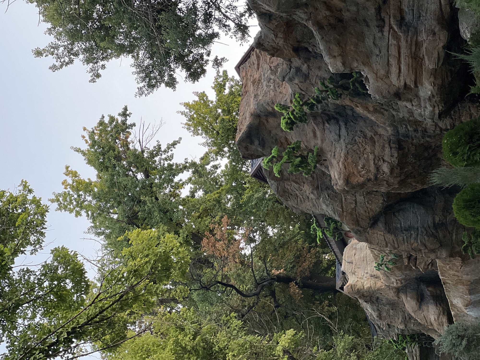 The image depicts an outdoor scene dominated by lush green trees and a rocky, mountainous terrain with what appear to be small, oriental-style structures nestled within or on top of the rocks. The trees, with their dense foliage, create a canopy that partially obscures the sky, which is a pale, overcast blue. The rocks are textured and varied in color, ranging from light tan to dark gray, with visible layers and crevices. Several small, meticulously pruned evergreen trees, resembling bonsai, are strategically placed on the rock formations, adding a touch of cultivated nature to the rugged landscape. Two distinct structures with dark, angled roofs are partially visible atop the rock formations, suggesting a man-made element integrated into the natural setting. The overall impression is one of a serene, possibly landscaped, environment. This scene is located in the "Tendersaq" botanical garden in Shymkent, Kazakhstan.