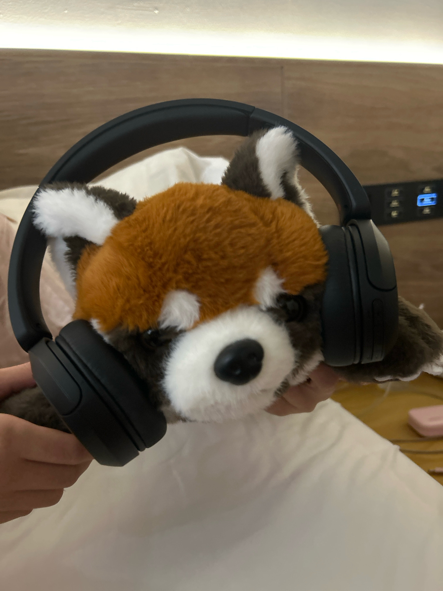 A close-up shot shows a stuffed red panda wearing black headphones. The red panda has brown, white, and black fur, with a white muzzle and black eyes and nose. The headphones are positioned over its ears, and the headband arches over its head. The stuffed animal is being held up by two hands, one on each side of its head. In the background, a blurred image shows a white bed with a headboard. To the right of the bed, a light-colored surface with some objects, possibly a nightstand, is visible. A portion of a control panel with a blue screen and buttons can be seen on the wall behind the bed. The scene appears to be in a hotel room, consistent with the location of Pudong, China, where many international hotels are situated.