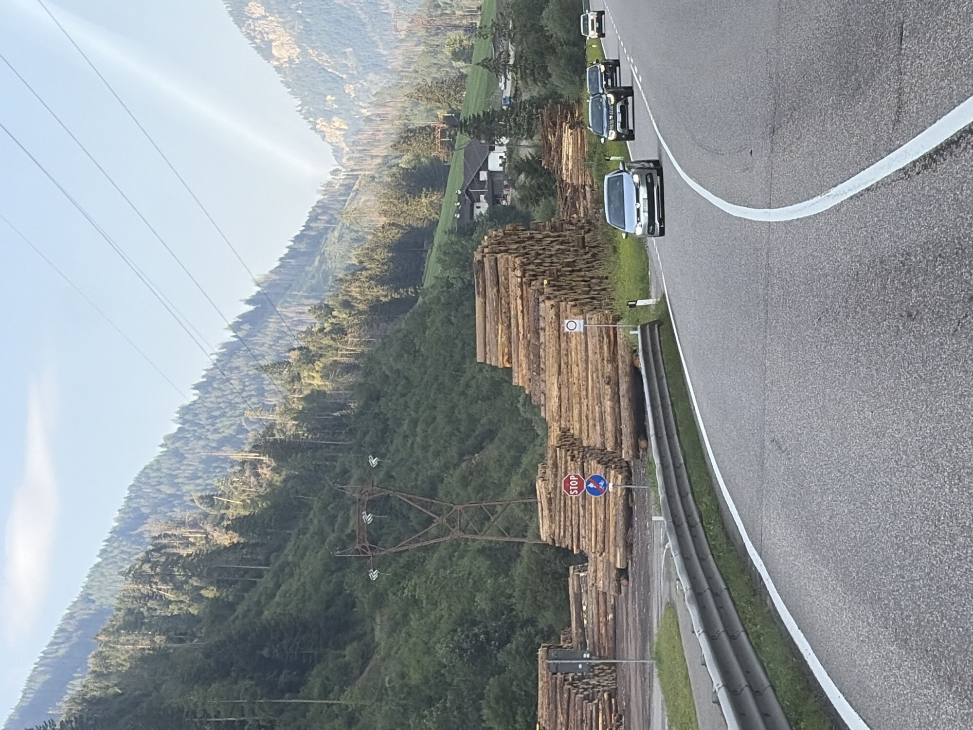The image captures a scenic mountain road in Moena, Italy, with a vast forest covering the slopes. A truck carrying a large pile of logs is parked on the side of the road, with more logs stacked nearby. Several cars are driving on the road, and a power pylon is visible in the background. The sky is clear and blue, with some fluffy clouds. The overall impression is one of a peaceful and picturesque natural setting.