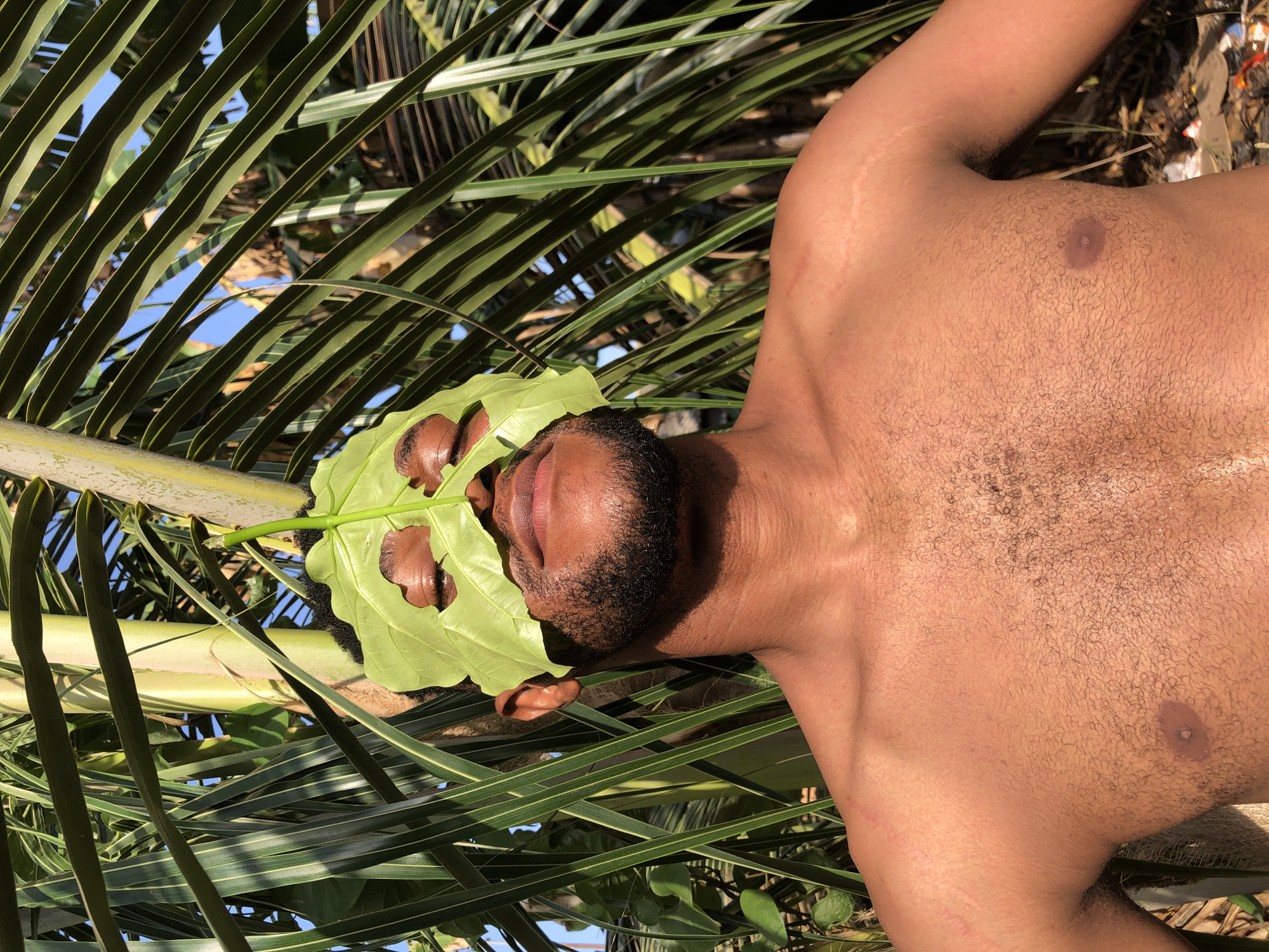 A sunlit image from an elevated perspective shows a dark-skinned, shirtless man lying among green palm fronds in Unknown, Unknown. The man, whose face is partly obscured by a large green leaf with holes cut out to expose his eyes, has a beard and his lips are visible. The upper part of his body, including his torso and shoulder, is visible. The palm fronds surround the man, and patches of blue sky can be seen through them. There is some trash on the ground next to the man.