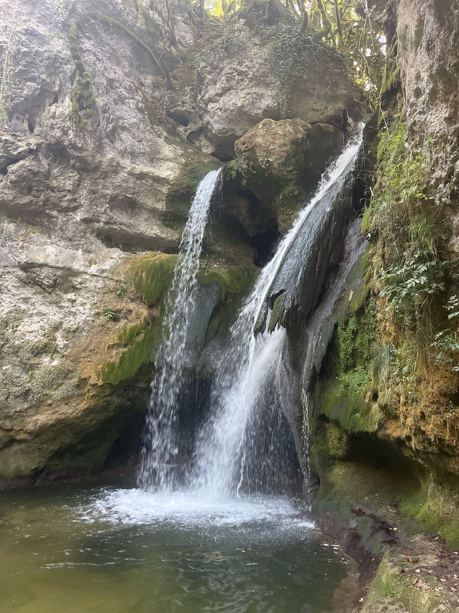 The image depicts a natural waterfall cascading over moss-covered rocks into a pool of water. The surrounding environment is lush and green, with trees and vegetation visible at the top of the frame. The rock formations are varied in texture and color, with some areas appearing smooth and others rough and weathered. The lighting suggests it is daytime, with diffused light filtering through the trees. The scene appears to be serene and undisturbed. This is a view of the Saut du Doubs waterfall, located on the border between France and Switzerland, near the municipality of Ferrières, Switzerland.