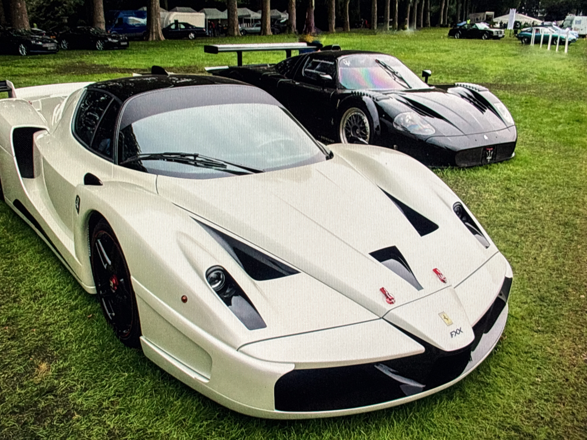 Two exotic cars, a white Ferrari FXX and a black Ferrari, are parked on a manicured lawn, possibly at an outdoor car show or event. The white Ferrari is in the foreground, angled towards the viewer's left. Its sleek, aerodynamic design is evident, with a low profile and sharp lines. The black Ferrari is positioned behind and to the right of the white car, also angled towards the viewer's left. It shares similar aggressive styling. The background reveals a line of trees and more vehicles, suggesting a larger gathering. There are no people clearly visible in the immediate vicinity of the cars. The environment appears to be a park or an open grassy area, with soft, green grass. The lighting suggests it is daytime. The image's resolution is moderate, with visible pixelation.