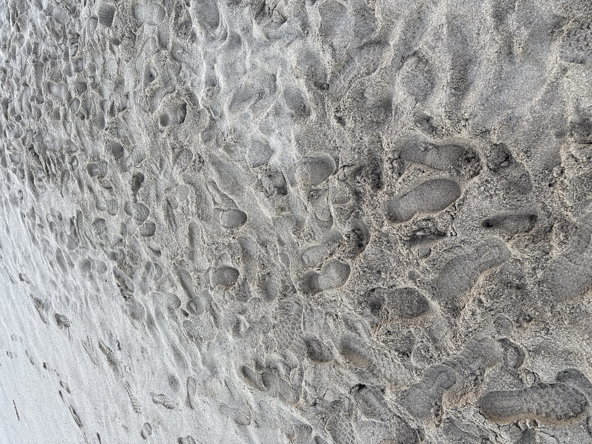 The image shows a close-up view of sand, heavily marked with numerous footprints. The sand appears to be a mix of light and dark gray tones, with variations in texture and compaction around the footprints. There are no people visible in the scene. The setting appears to be a beach. Although the prompt references Barcelona, Spain, the image lacks specific details indicating the location is definitively in Barcelona.