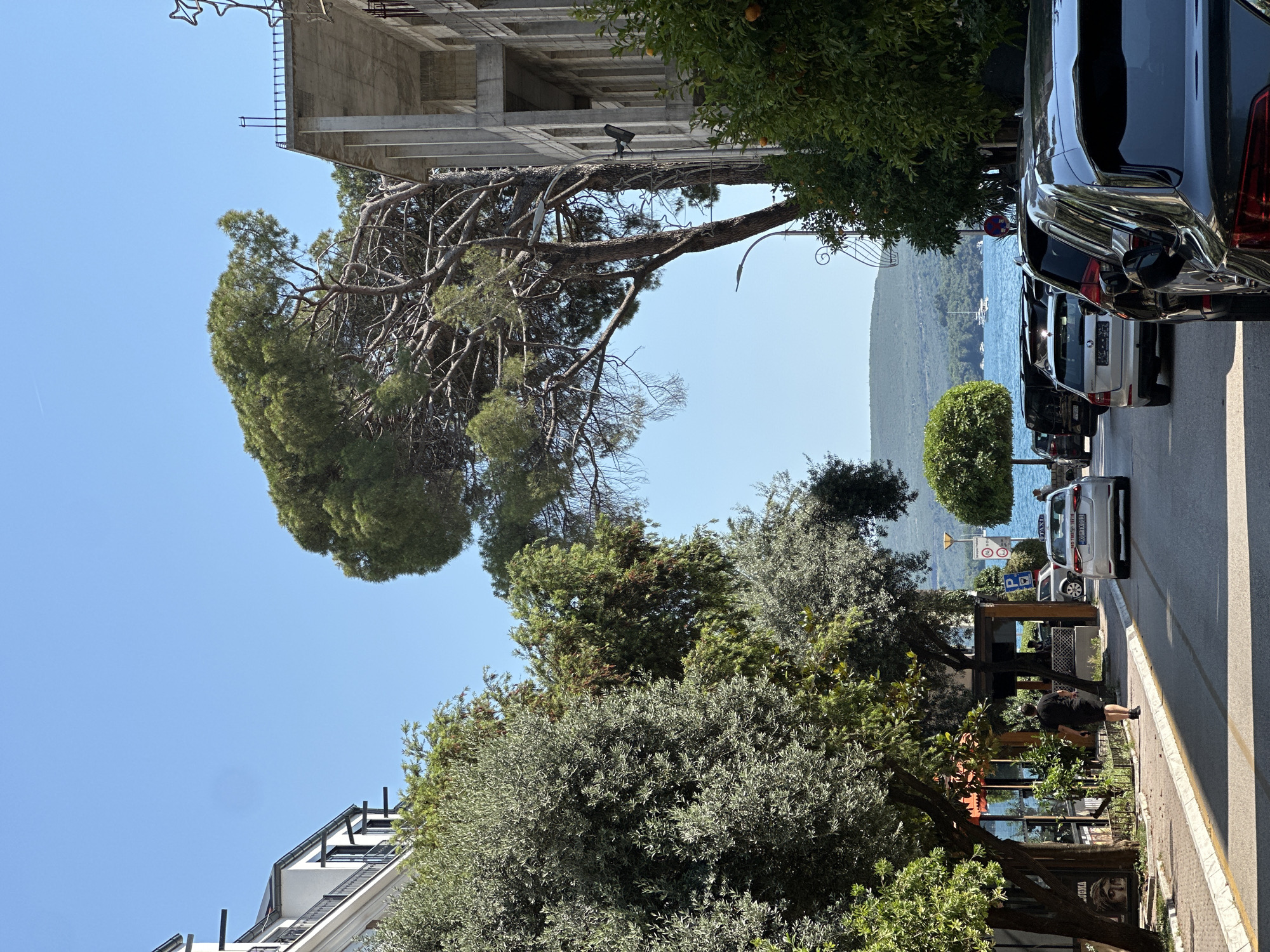 The image depicts a sunny day in Tivat, Montenegro, likely along the waterfront promenade. A street lined with trees and buildings runs towards the sea. On the left, a multi-story building with balconies and windows is visible, partially obscured by lush green trees, possibly olive trees. Further down the street, businesses with awnings and signage are present. On the right, a concrete building under construction, with visible columns and floors, is situated next to a tall pine tree and an orange tree laden with fruit. Several cars are parked and driving on the asphalt road. A lone individual, dressed in dark clothing, walks away from the camera on the sidewalk. In the background, the clear blue sea is visible, with a few boats on the water and a verdant, hilly coastline in the distance. The sky is a vibrant, cloudless blue.