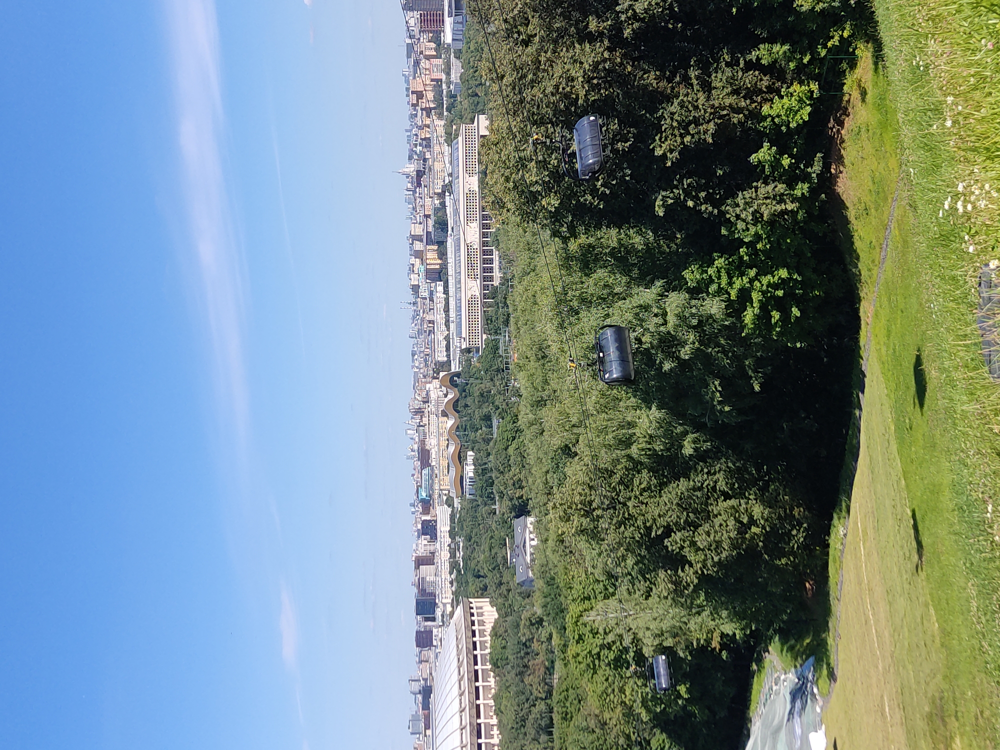 This is a wide, eye-level shot taken on a sunny day overlooking a city skyline. In the foreground, a grassy hill slopes downwards, with some white wildflowers scattered throughout the tall grass. A dark shadow is cast across the hill. Further down the hill, there is a white artificial surface, possibly for a ski slope. Beyond the grassy hill, a dense forest of green trees fills the midground.
Several cable cars are suspended from wires, traveling across the scene. Two cable cars are visible in the foreground within the trees, and one is further away on the left. In the background, a sprawling city landscape unfolds, with numerous buildings of varying heights and architectural styles. To the left, a large, domed stadium with a white facade is prominent. In the center background, a long, light-colored building with a decorative facade is visible. The sky above is clear blue with a few wispy white clouds.