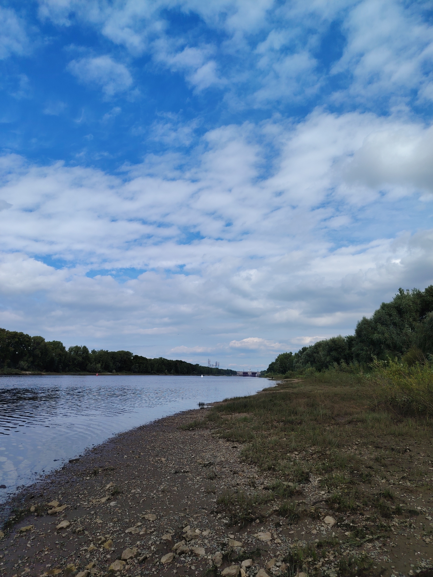 The image depicts a wide, calm river flowing through a wooded landscape under a partly cloudy blue sky. The foreground shows a rocky, somewhat overgrown shoreline with sparse green vegetation. The river occupies the left half of the frame, its surface rippled and reflecting the sky. Across the river, a dense line of trees forms the opposite bank, with a few distant structures and power lines visible on the horizon. The overall scene is natural and serene, suggesting an outdoor recreational area. This location is likely along the Kama River in Chaikovsky, Russia, a city known for its hydroelectric power station and surrounding natural beauty. There are no people or animals visible in the image.