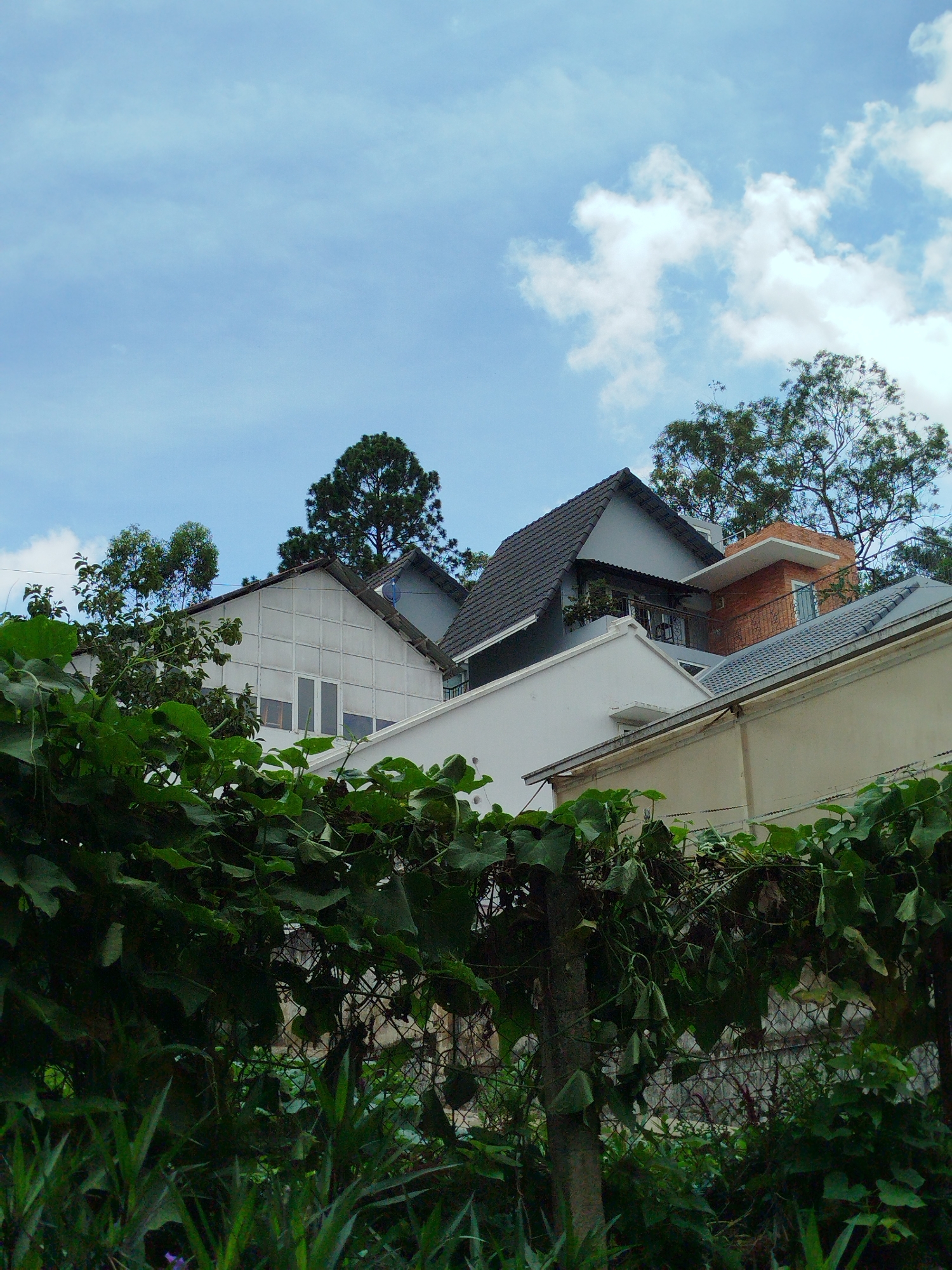 The image depicts a collection of residential buildings nestled on a hillside under a partly cloudy blue sky. In the foreground, lush green foliage and vines obscure a wire fence, suggesting a natural or overgrown setting. Several houses, varying in architectural style and color, are visible behind the greenery. One prominent house features a white, grid-like facade with large windows. Other structures have tiled roofs, some dark gray, and others a reddish-brown brickwork is visible on one of the buildings. Tall trees are interspersed among the buildings, their branches reaching towards the sky. The overall impression is one of a residential area on a gentle slope in Da Lat, Vietnam, characterized by its hilly terrain and abundant vegetation. No people are visible in the image.