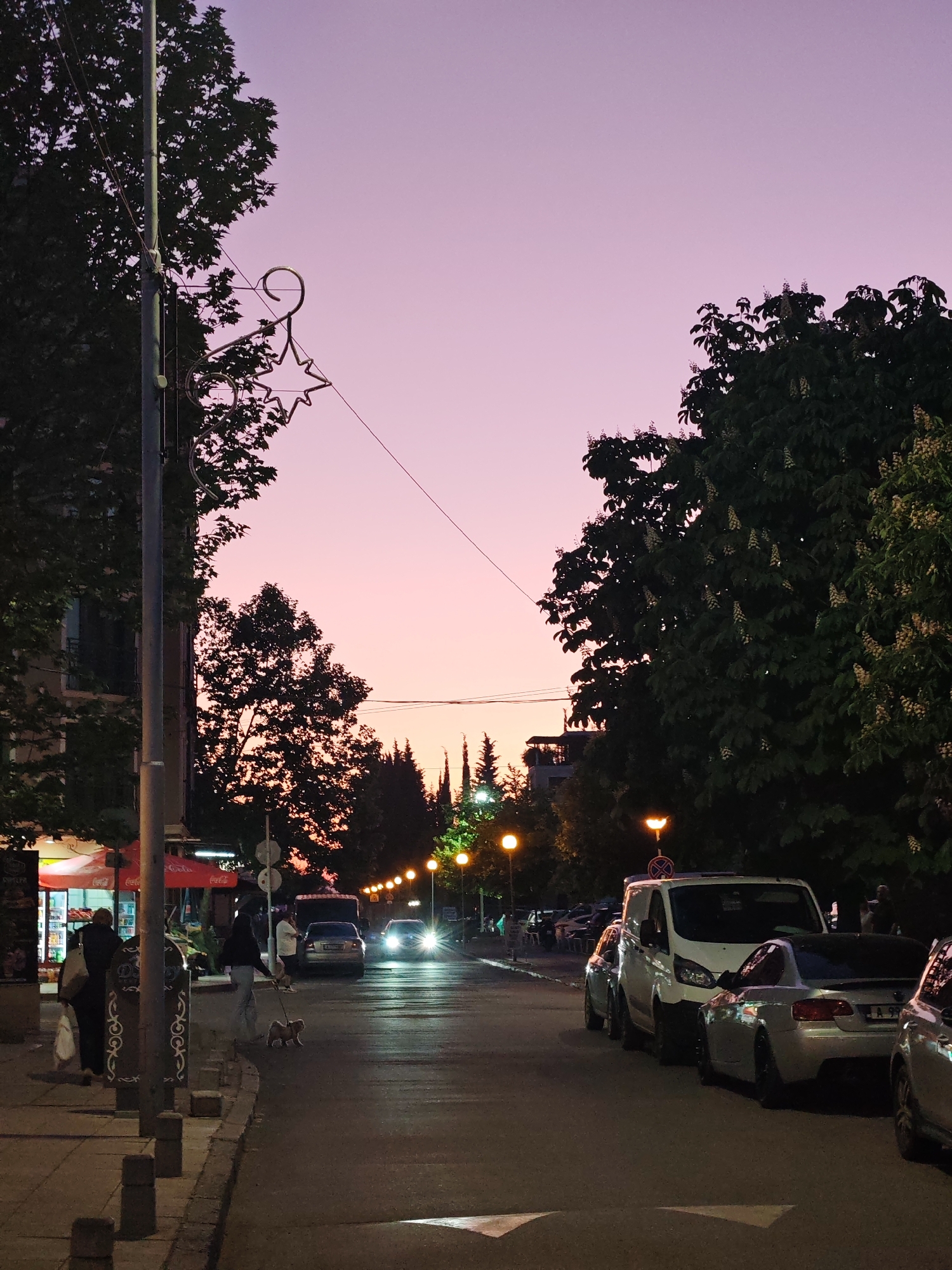 A street scene in Nesebar, Bulgaria, at dusk with a pink and purple sky. The street is lined with trees and parked cars on the right side. A woman walks a dog on the sidewalk on the left side, near a storefront. Streetlights illuminate the road. Several cars are moving in the distance with headlights on. A decorative star hangs from a pole on the left.