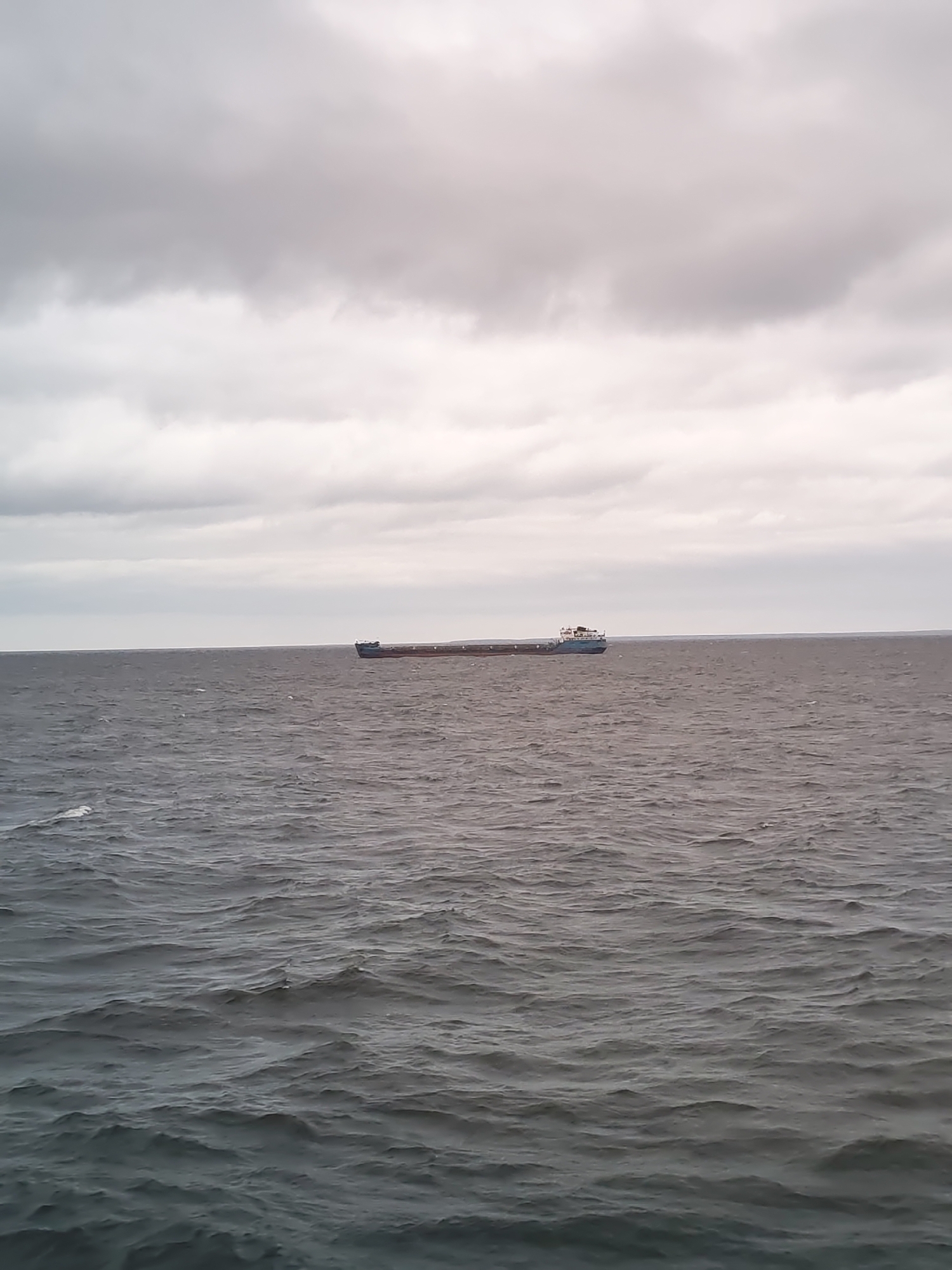 The image depicts a wide shot of a large body of water under an overcast sky. The primary subject is a long cargo ship, possibly a barge or bulk carrier, positioned horizontally across the middle ground of the image. The ship is dark-hulled with a lighter blue or grey superstructure towards its stern, and appears to be laden, sitting low in the water.
The scene is dominated by the expansive water and the sky. The water is a dark, steely grey with visible ripples and small waves, indicating some movement or wind. White foam caps are sparsely scattered on the surface of the water, particularly noticeable in the foreground. The horizon line is clearly defined, separating the dark water from the lighter, cloudy sky.
The sky is entirely overcast, filled with dense, light grey clouds that cover the entire upper half of the frame, suggesting a cloudy or gloomy day. There are no breaks in the clouds to indicate direct sunlight. The overall lighting is soft and diffused.
No people are visible on the ship or elsewhere in the image. There is no discernible activity beyond the presence of the ship on the water. The weather appears cool and possibly windy, given the choppy water. There is no visible text. Given the location context of Shcheleiki, Russia, the body of water is likely Lake Onega or a large river connected to it.