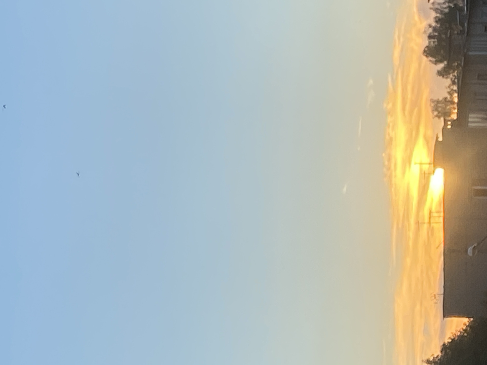 The image shows a panoramic view of a cityscape at sunset. The sky is a gradient of pale blue to warm orange and yellow hues, with wispy clouds illuminated by the setting sun. Silhouetted against the vibrant sky are the rooftops of several buildings, some appearing to be residential or commercial structures. Trees with dark foliage are visible on the right side, adding to the urban landscape. The sun itself is a bright, intense orb peeking through the clouds, casting a warm glow over the scene. Two small, dark specks that appear to be birds are visible high in the sky. The overall impression is a peaceful and serene urban sunset.