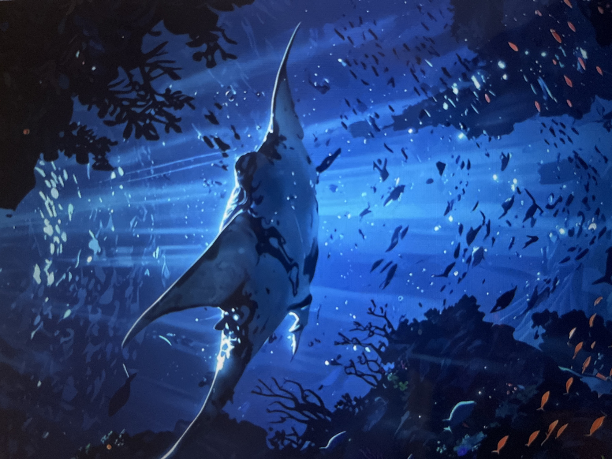 A manta ray swims through a vibrant blue ocean. Sunlight streams down from above, illuminating schools of smaller fish swimming around the manta ray and through the coral formations on either side of the scene. The coral is dark and silhouetted against the bright light, with some of the smaller fish appearing in shades of orange. The manta ray itself is white and grey with dark markings and is the dominant subject in the image, positioned in the upper center and angled towards the left.