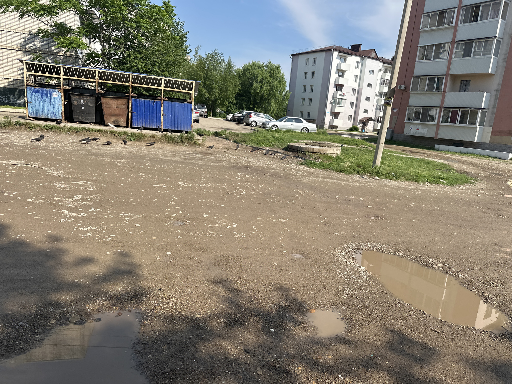 The image depicts an outdoor scene with several prominent subjects. In the foreground, a rough, gravelly dirt path stretches across the frame, punctuated by puddles of muddy water, one of which prominently reflects the side of a building. Scattered across the path and the grassy verge are several pigeons.
Behind the path, a series of large, blue and brown dumpsters are housed under a yellow metal canopy, suggesting a waste disposal area. Further in the background, parked cars are visible on a paved surface, alongside a tall, multi-story apartment building with numerous windows and balconies. Another apartment building, similar in style, is visible to the left. Lush green trees and foliage frame the buildings, indicating a temperate climate and likely a residential or urban setting.
The overall impression is of a typical day in a residential area. The bright sunlight and clear blue sky suggest it is daytime, likely late morning or afternoon. The presence of puddles implies recent rain. There is no clear indication of any specific activity or event taking place; it appears to be a static view of the environment.
No discernible text is visible in the image. The scene is neutral in tone, presenting a functional urban landscape. The location context of Birobidzhan, Russia, is relevant for understanding the architectural style and environmental cues.