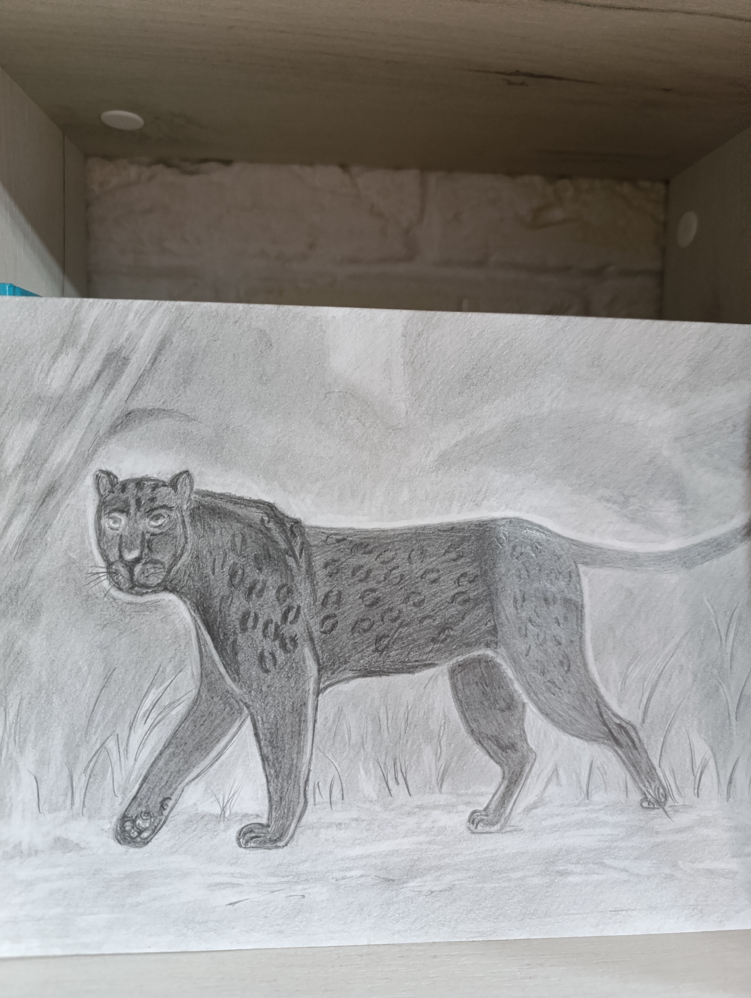 An interior shot depicts a graphite drawing of a big cat positioned vertically on a light-colored shelf or surface within a wooden shelving unit in Unknown, Unknown. The drawing, rendered in shades of grey and black on light paper, features a black panther or leopard in left profile, its head slightly turned towards the viewer. The animal exhibits a muscular build with discernible dark spots on its body, defined eyes with light pupils, a dark nose, and whiskers. Its four legs are depicted in a walking posture, with the front left paw extended forward, showing claw details, and the tail extending horizontally backward. The drawing's background includes faint shading suggesting sparse vegetation in the foreground and a textured, possibly rocky or tree-lined element on the left. Above the drawing, the internal structure of a wooden shelving unit is visible, consisting of a light brown wooden top panel, matching side panels, and a textured back wall designed to resemble light-colored, rough brickwork. Two white circular screw covers are present on the side panels of the shelving unit. The scene is evenly lit by ambient light. No individuals are present.