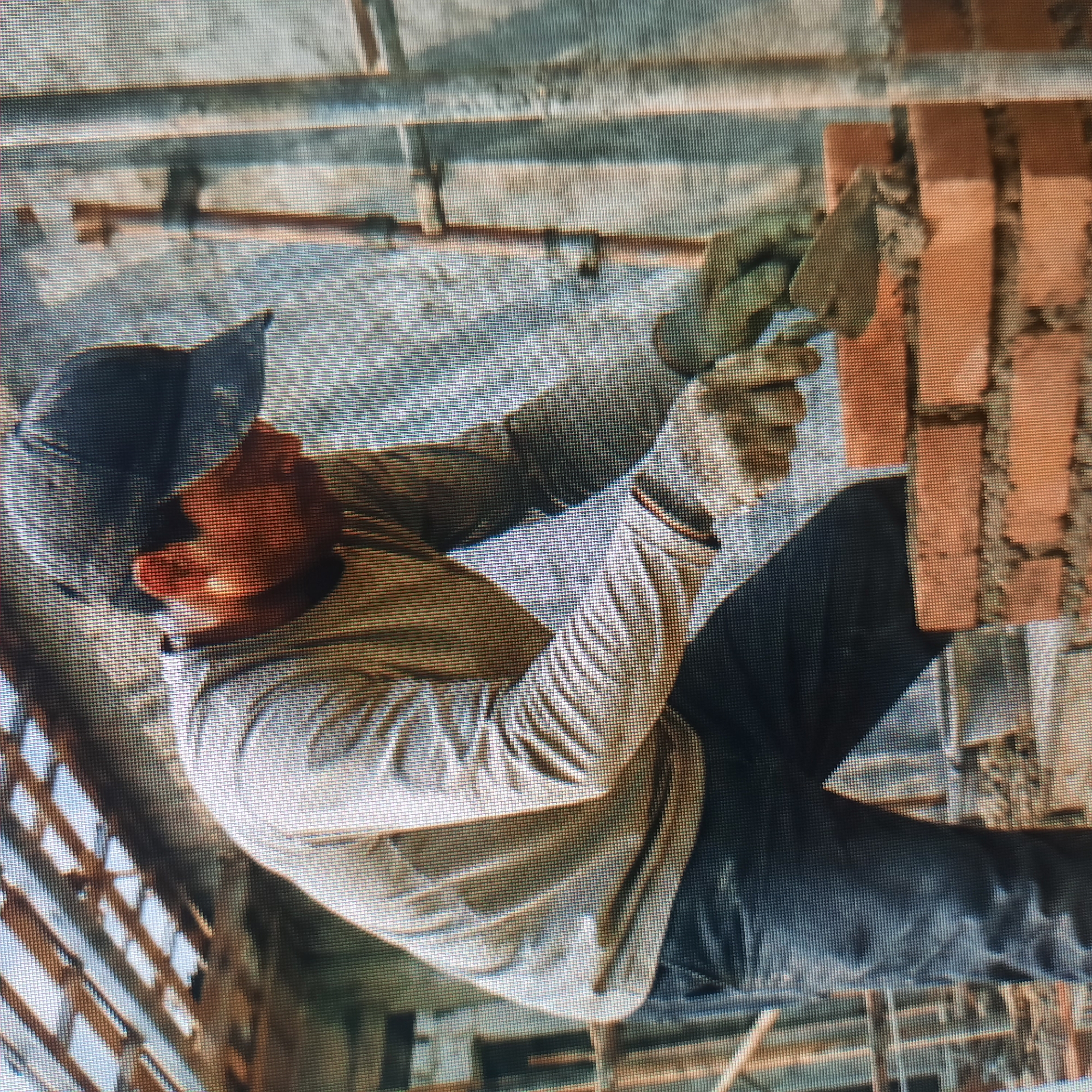 A construction worker, wearing a grey long-sleeved shirt, dark pants, a dark baseball cap, and light green work gloves, is laying bricks. He is holding a trowel with mortar in his right hand and is in the process of placing it onto a brick wall. The wall is made of reddish-brown bricks and is partially constructed. The background shows a building under construction with scaffolding and exposed wooden beams. The scene appears to be outdoors, under daylight.