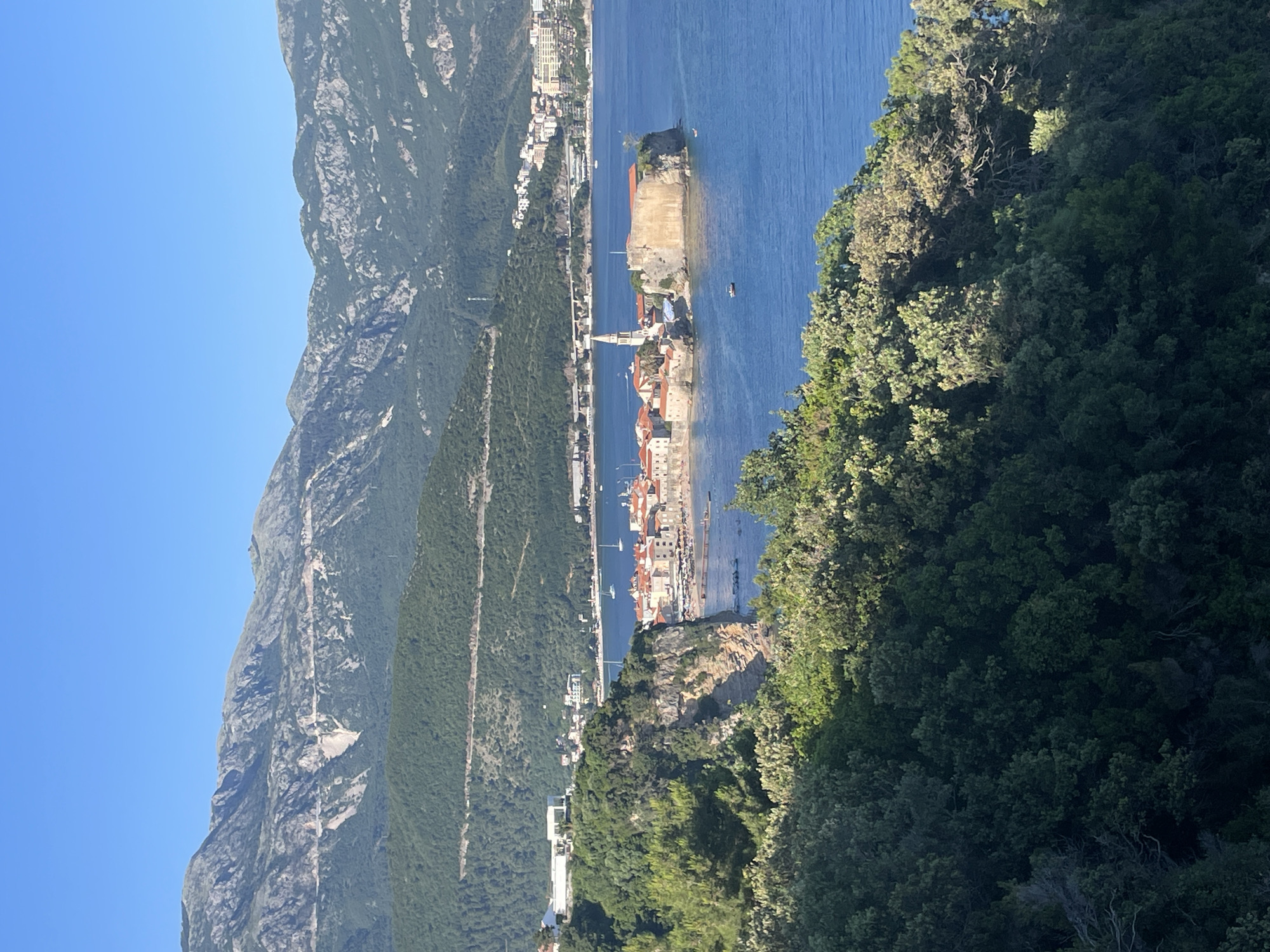 The image is an aerial, landscape view of the city of Budva, Montenegro. Prominent in the center of the frame is the historic island town of Sveti Stefan, connected to the mainland by a narrow isthmus. The island is characterized by its cluster of terracotta-roofed buildings and a prominent church tower. To the left of Sveti Stefan, along the coast, is a road and a line of buildings. Behind this coastal strip, the landscape rises sharply into a mountain range. The mountains are covered with dense green vegetation and rise steeply against a clear blue sky. In the foreground, on the right, is a thick area of dark green trees, likely part of a forest. The water surrounding Sveti Stefan is a deep blue.