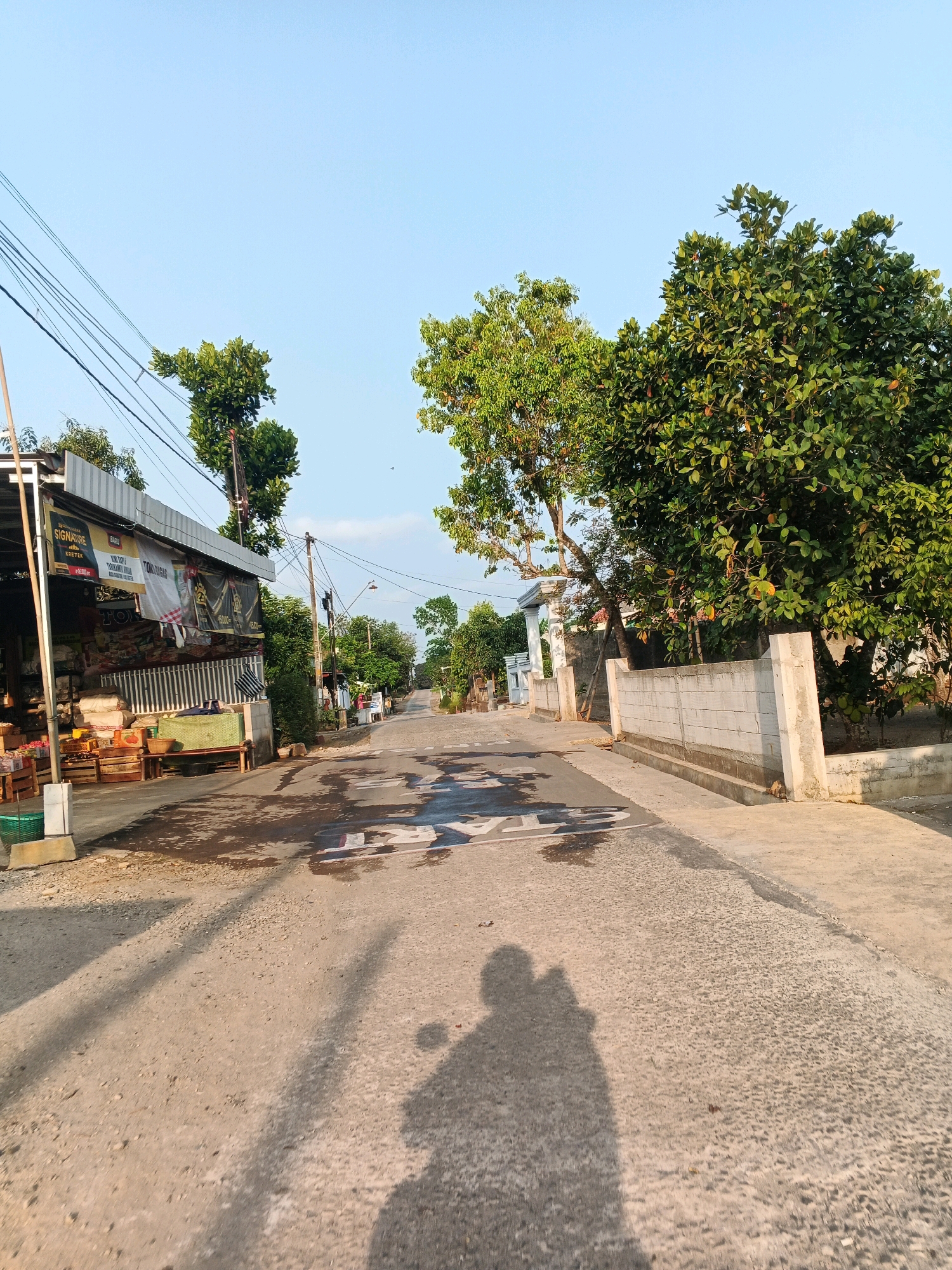 The image depicts a street scene in Pesanggrahan, Indonesia. The road is paved with asphalt and appears somewhat worn, with patches of standing water and oil stains. The left side of the street features a small open-air shop with a corrugated metal roof, displaying various goods and signage, including advertisements for "SIGNATURE" and "ROKOK KRETEK." Wooden crates and a bench are visible in front of the shop. Numerous power lines crisscross the sky above the street. Lush green trees with dense foliage line both sides of the road. On the right, a low concrete wall separates the road from a walkway and a property with a white pillar gate. In the foreground, the shadow of a motorcycle and its riders is cast across the road, indicating movement and the time of day. The sky is clear and a pale blue, suggesting a bright, possibly morning or late afternoon, day. The overall impression is of a typical residential street in a tropical urban or suburban environment.