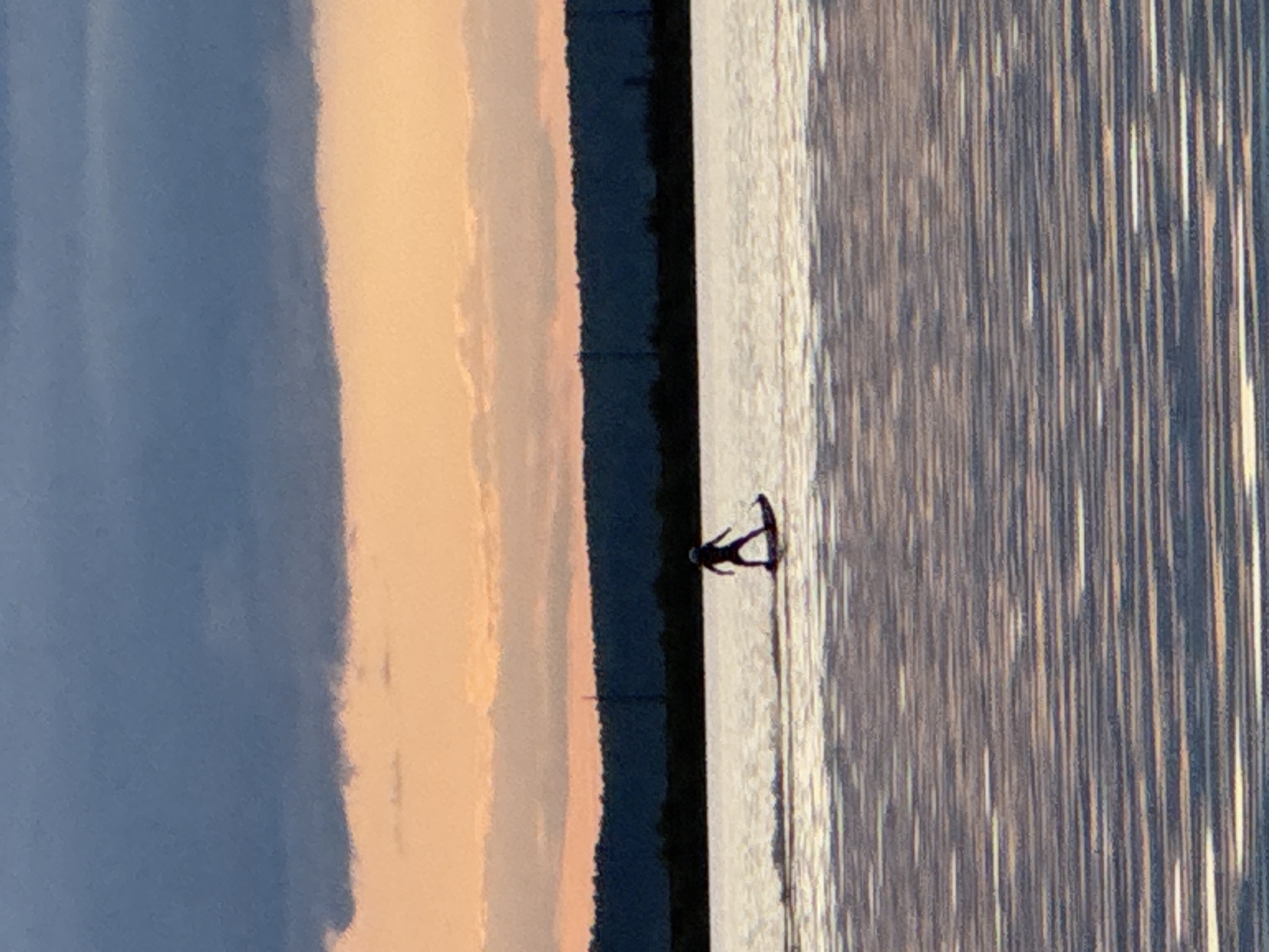 A landscape photograph, presented sideways, depicts a body of water with sunlight glinting off its surface. A figure appears to be waterskiing or wakeboarding on the water, close to a dark treeline. The sky shows an area of blue cloud cover adjacent to lighter, sunlit clouds. The location is Chaikovsky, Russia.
