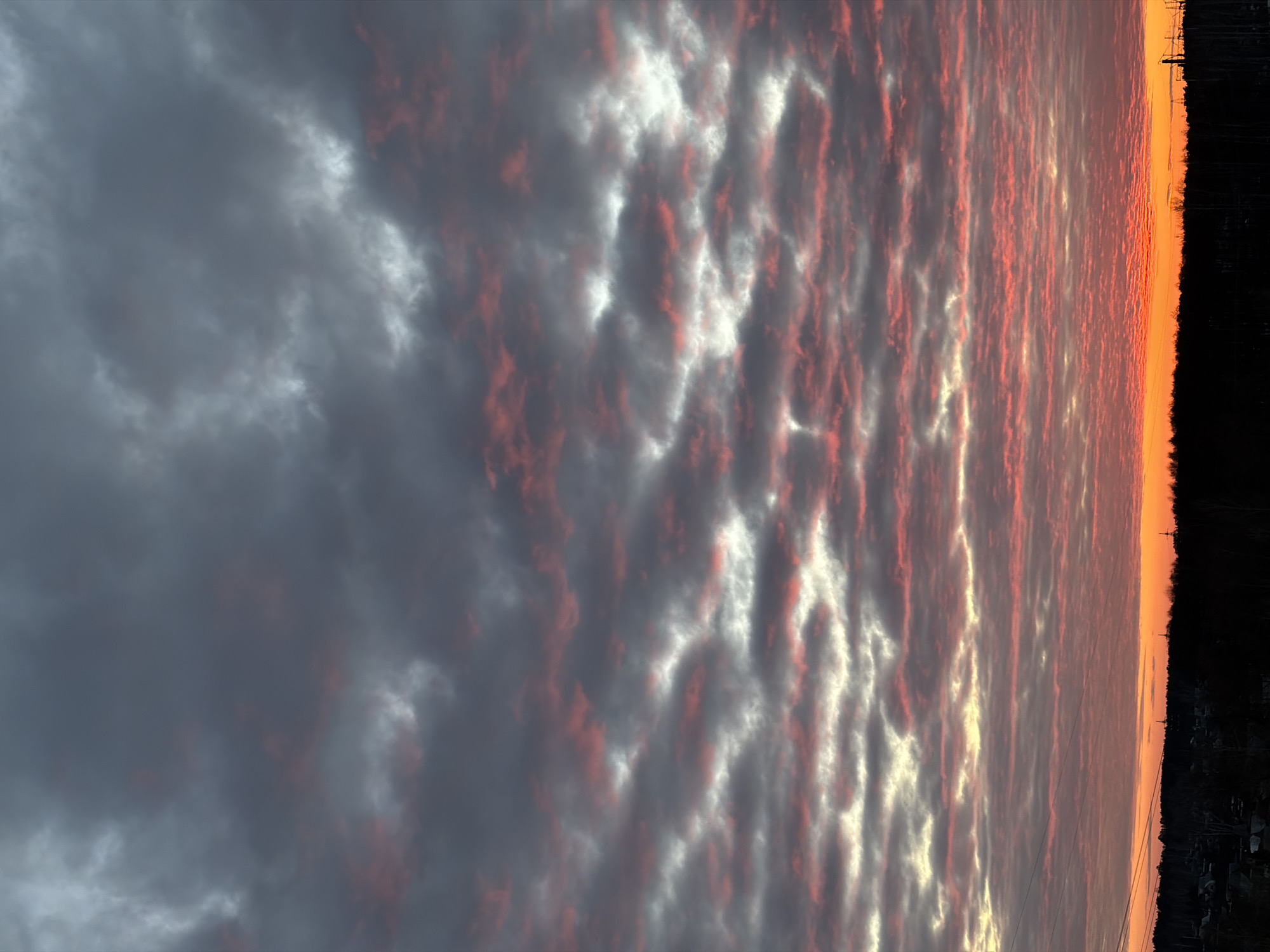 This image depicts an atmospheric sky over the city of Chaikovsky, Russia, during either sunrise or sunset. The sky is dominated by a dense formation of altocumulus or stratocumulus clouds, arranged in horizontal bands. The upper portion of the sky features dark gray clouds with patches of lighter gray and subtle reddish tinges. Moving downwards, the clouds display vibrant streaks of red, orange, and white, illuminated by a low-angle light source, contrasting with darker gray cloud masses. The horizon presents a dark, silhouetted landscape, consisting of a dense treeline and scattered low-rise residential structures on the left. On the right, indistinct industrial or utility structures, possibly towers or poles, are visible in silhouette, along with sparse bare tree branches. Several power lines traverse horizontally across the lower left section of the sky, just above the horizon. No individuals, explicit actions, or direct interactions are discernible. The overall environment is illuminated by the intense, low-angle light, casting the foreground into deep shadow.