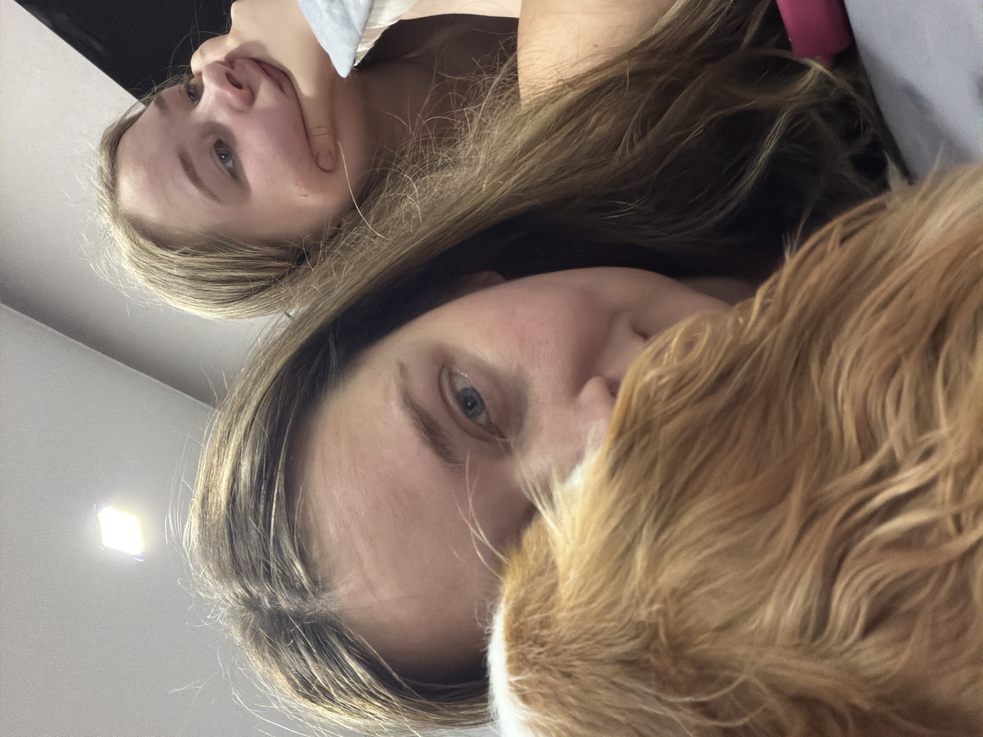 The image shows two light-skinned individuals and a ginger-colored animal. One individual is in the upper portion of the frame, gazing downward. Their left hand is raised to their chin. The second individual, located in the lower portion of the image, has their face close to the camera and is partially obscured by a ginger-colored animal. The location is a room with a recessed ceiling light in the upper left corner. There is no information indicating that the location is Chaikovsky, Russia.