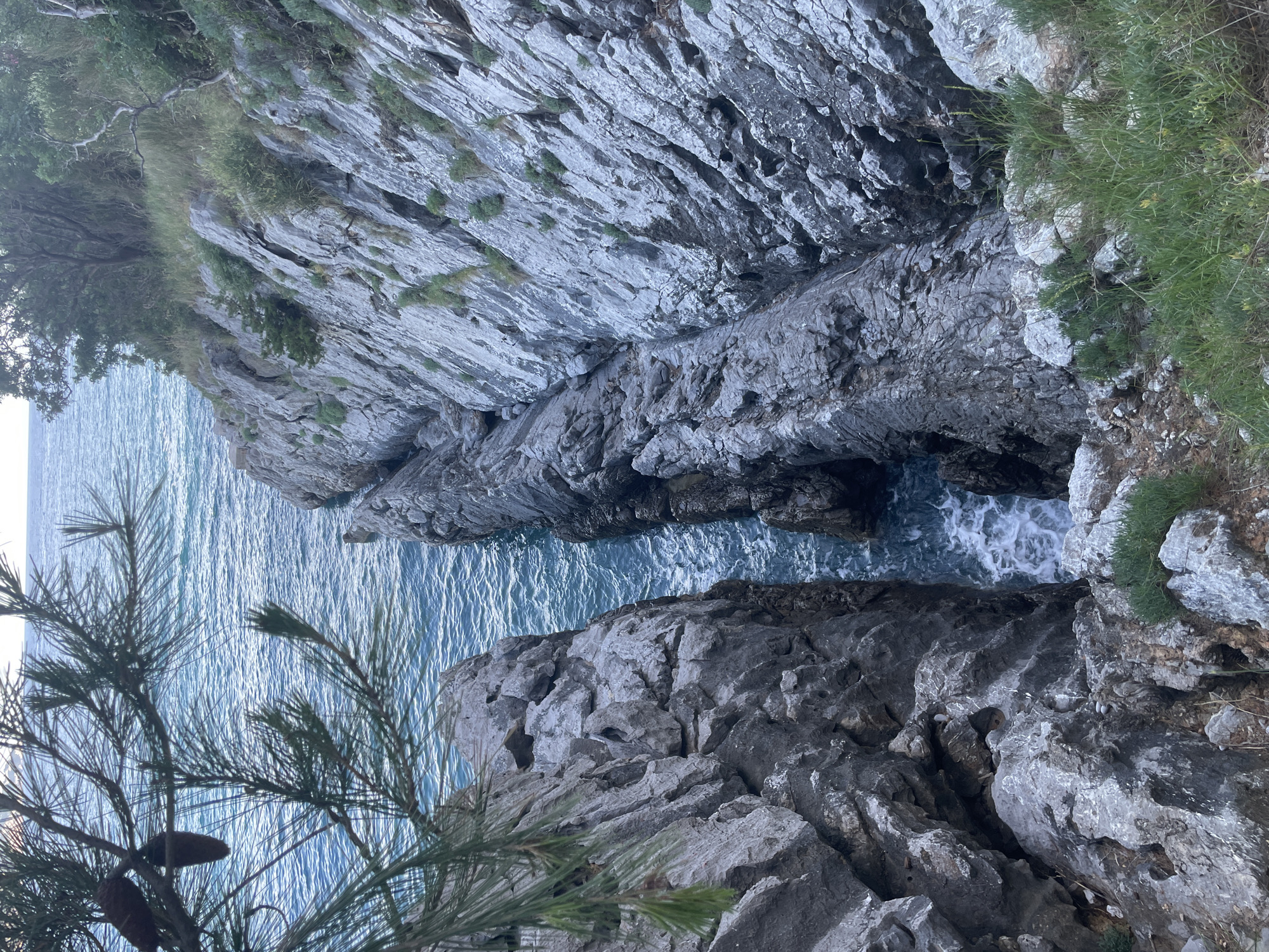 The image shows a view from a rocky cliff overlooking a narrow channel of blue sea between two sheer rock faces. In the foreground, pine branches with cones hang from the left, partially obscuring the view. The rocky cliffs are gray and textured, with some sparse vegetation growing in crevices. The sea is a deep blue with whitecaps and foam visible in the channel, indicating movement and waves. The background shows the open sea under a pale sky, with some trees and foliage on the clifftop to the right. This scene is typical of the rugged coastline found in and around Budva, Montenegro, particularly along areas like the Budva Riviera or near Sveti Nikola Island. There are no people or animals visible in the image.
